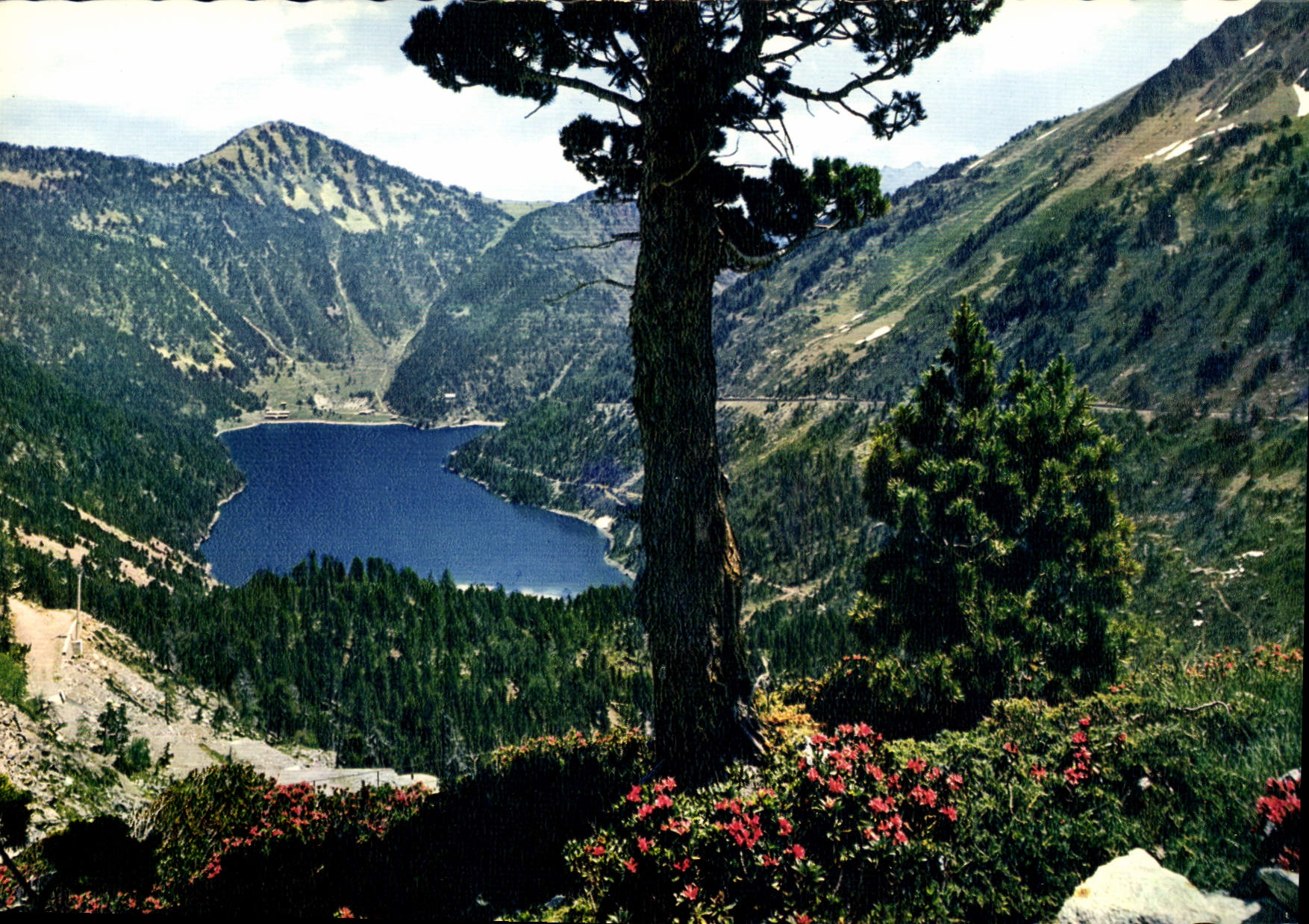 CPM Vallee d'Aure le Lac d'Oredon et le Mont Pelot vus de Cap de Long 