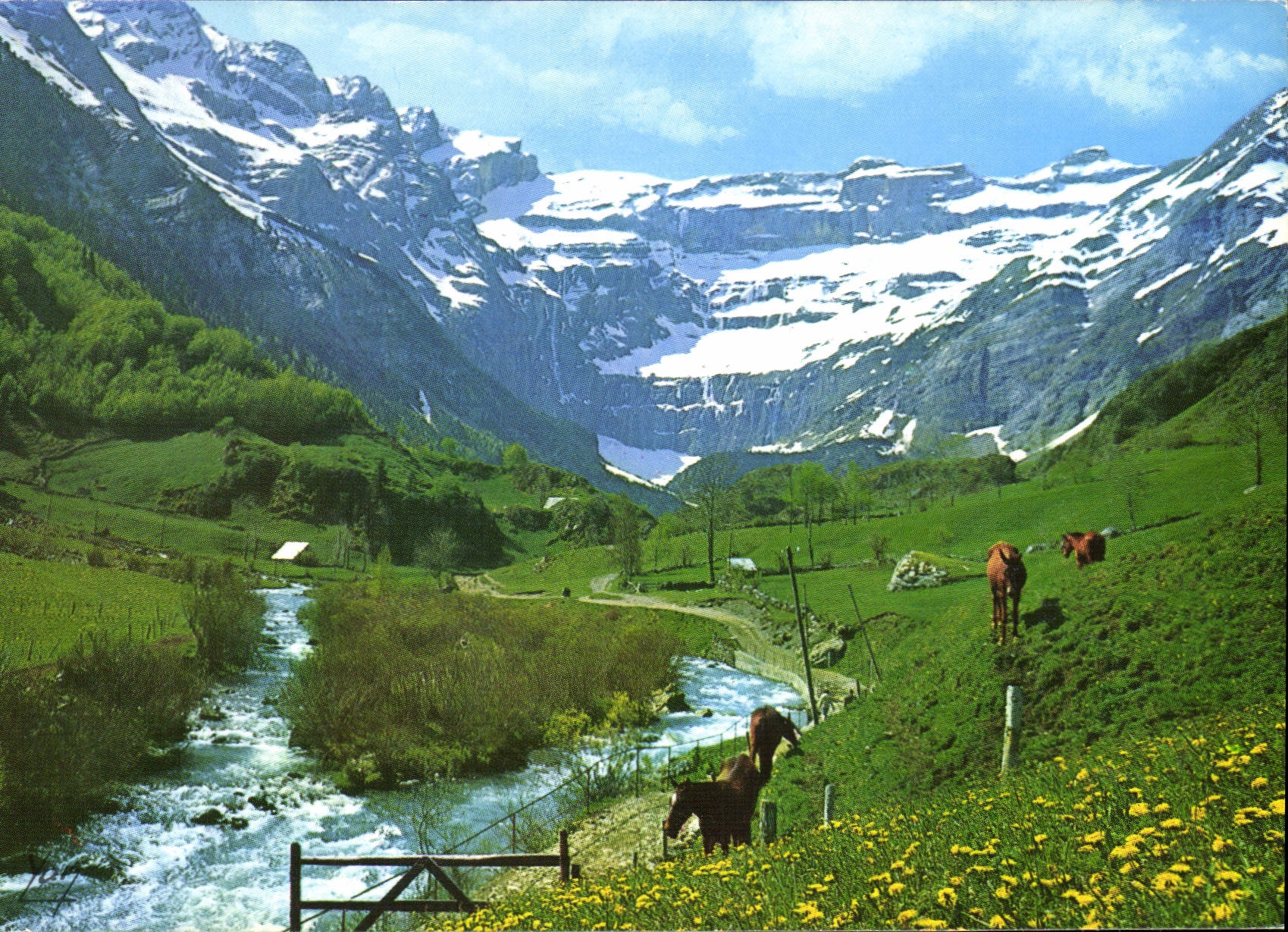 CPM Gavarnie Le Chemin du Cirque Linge le Gave 