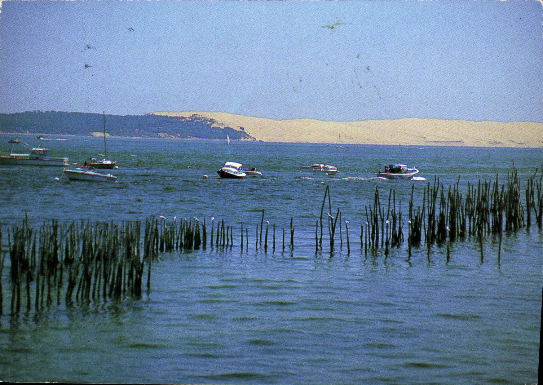 CPM Images de France Cote Aquiaine Baie d'Arcachon Dominee par la Dune de Pyla 