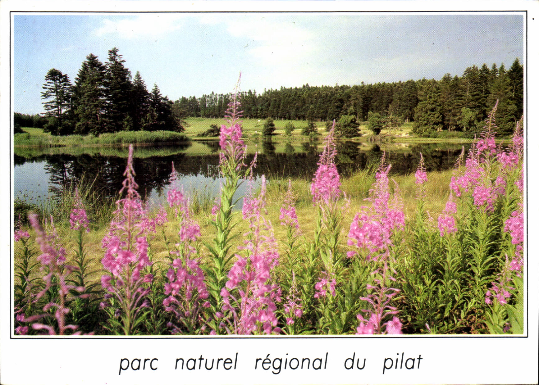 CPM parc Naturel Regional du Pilat 