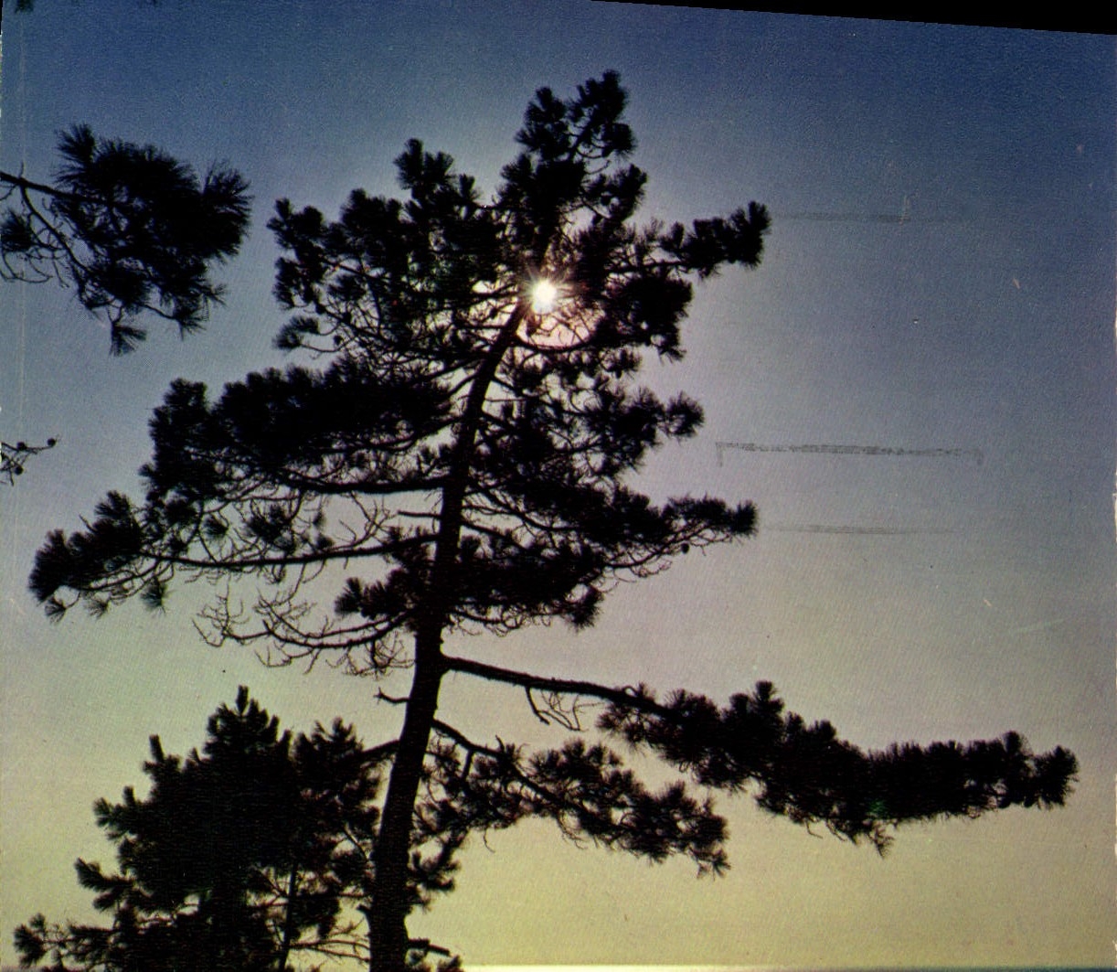 CPM Cote Atlantique la lune sortant des nuages noirs Semble une clarte qui vient par surprise