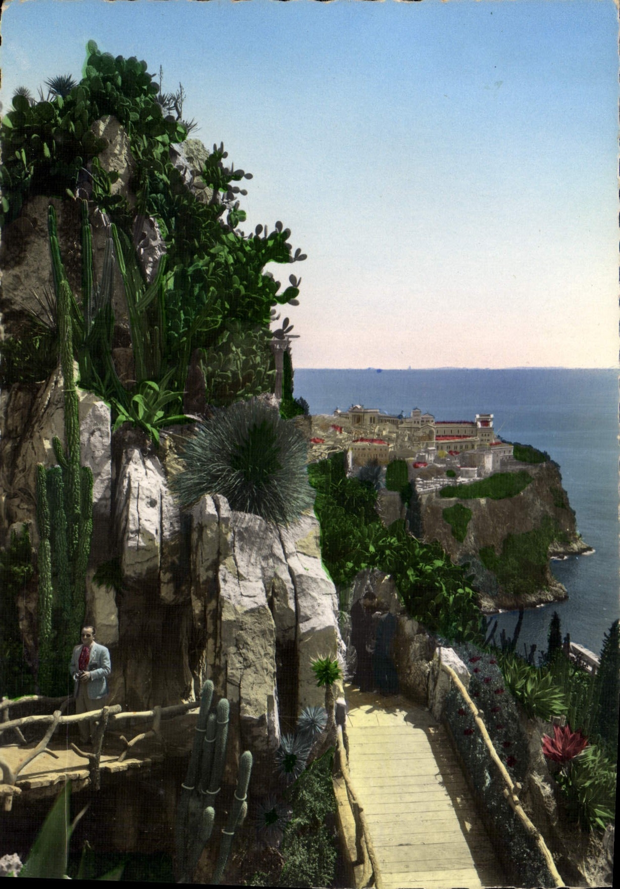 CPA Jardin exotique de Monaco un coin pittoresque du Jardin Au loin le Rocher de Monaco 