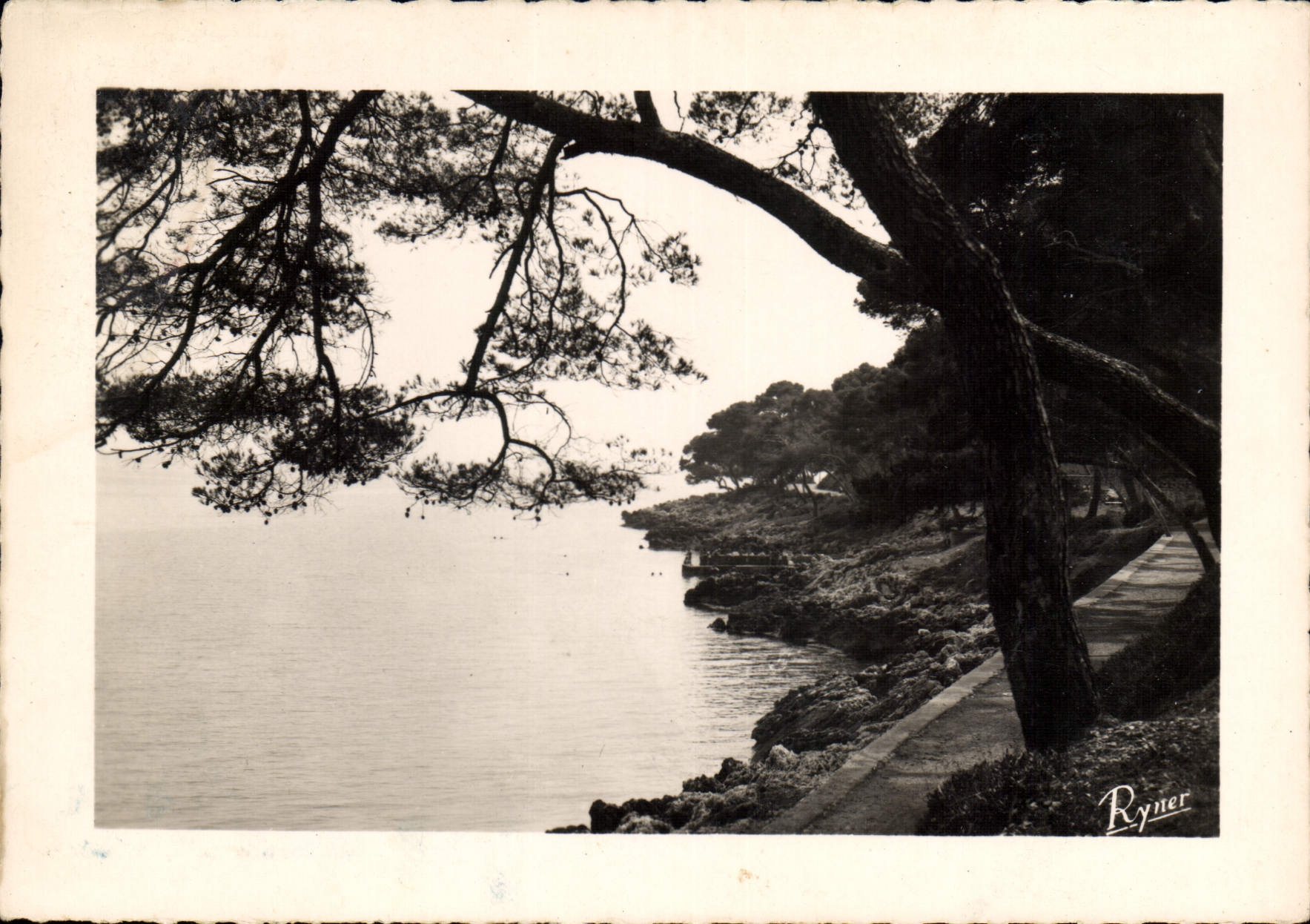 CPA Les Bords de la Riviera Menton le Cap Martin