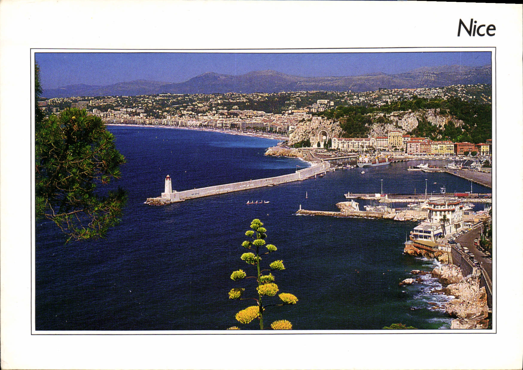 CPA Nice Alpes Maritimes Vue generale 