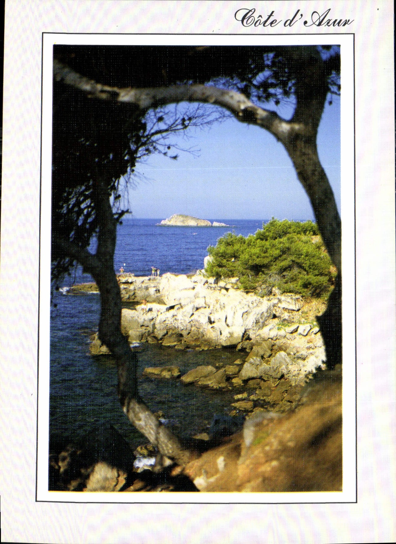 CPM la Cote d'Azur une calanque mediterraneenne abritee par les pins maritimes 