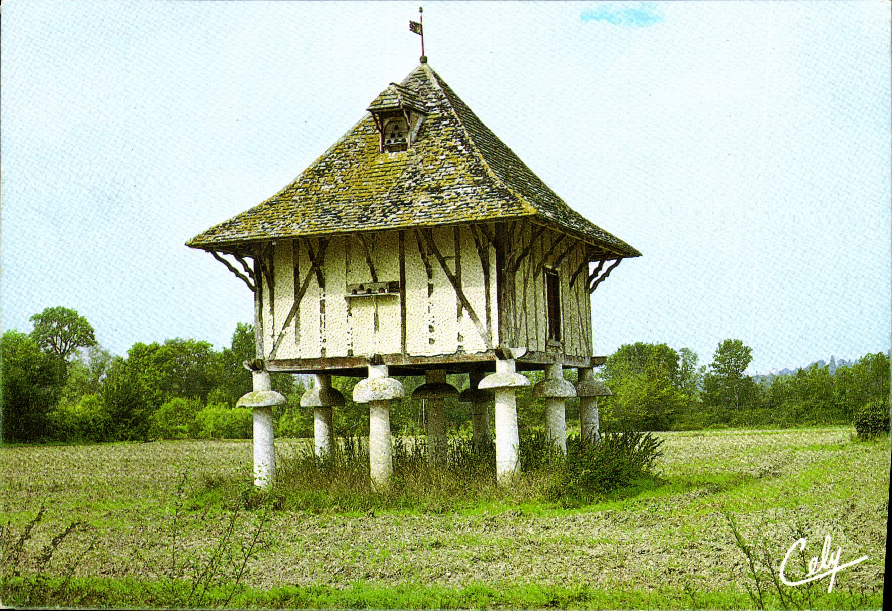 CPM Dans nos Campagnes un beau pigbonnier 
