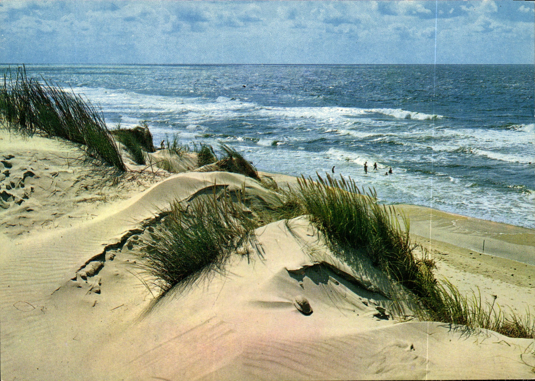 CPM Souvenir de la Cote de Normande