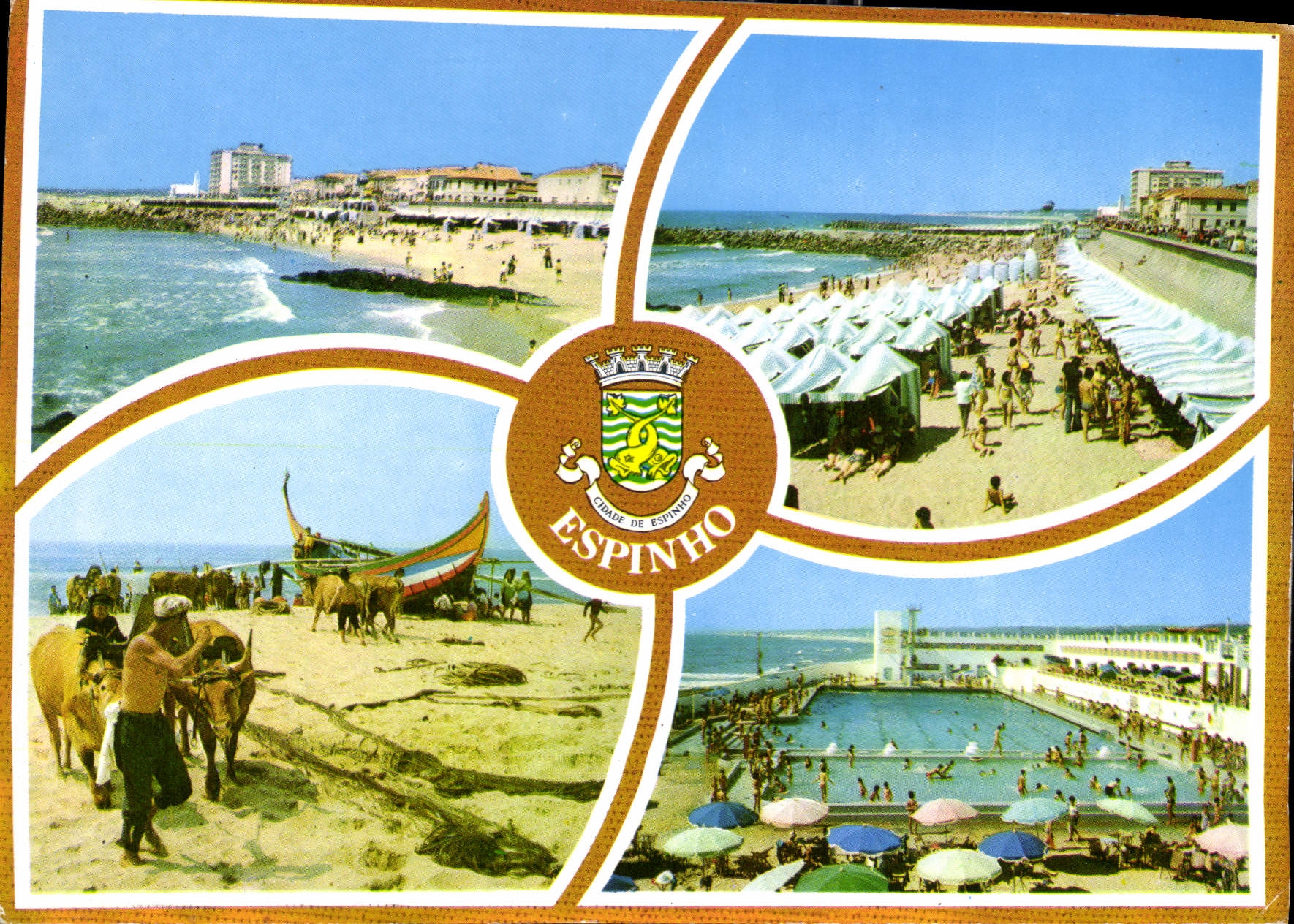 CPM Espinho Portugal Motivos Turisticos Diversos Divers Motifs Touristiques Bœufs Piscine