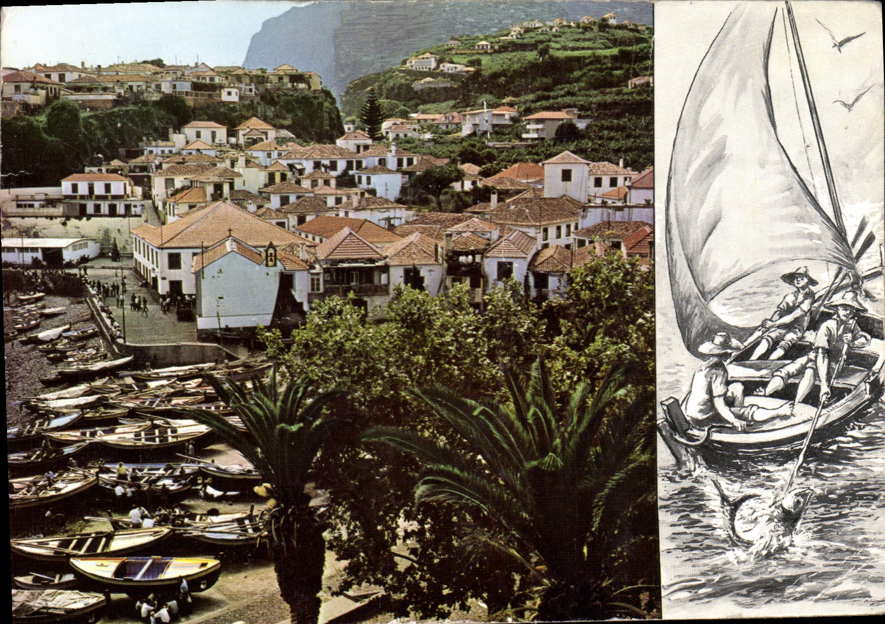 CPM Madeira Bateaux