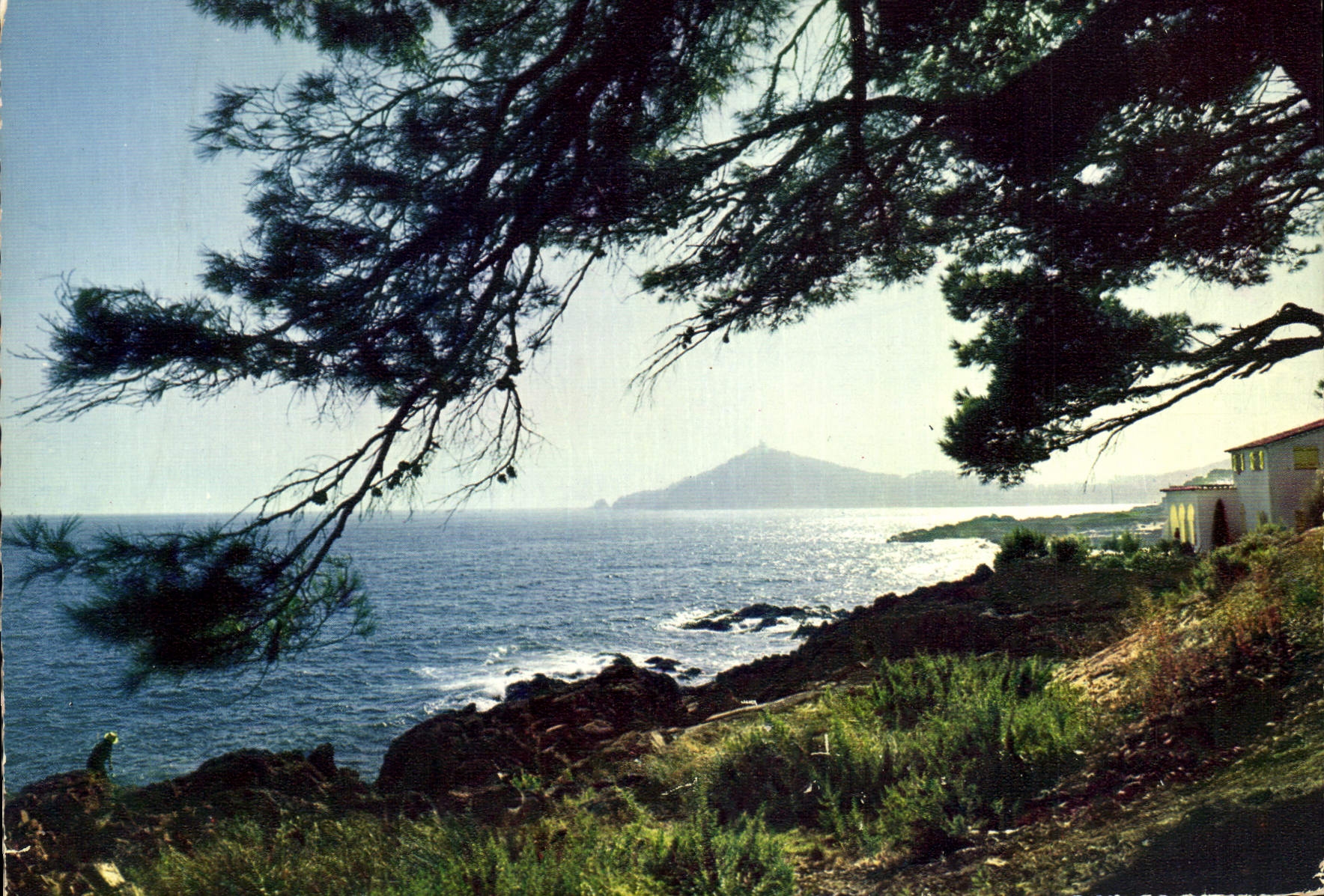 CPM Reflets de la Cote d'Azur Corniche d'Or Jeux de lumiere sur le Dramont 