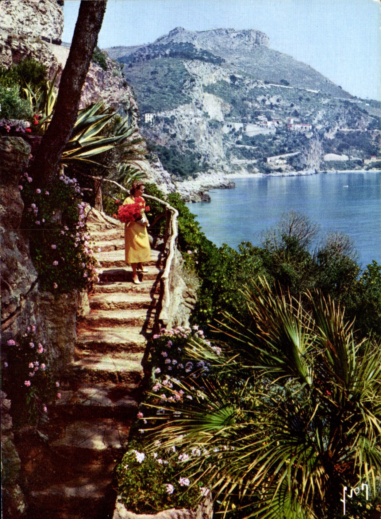 CPM La Cote d'Azur Miracle de la Nature