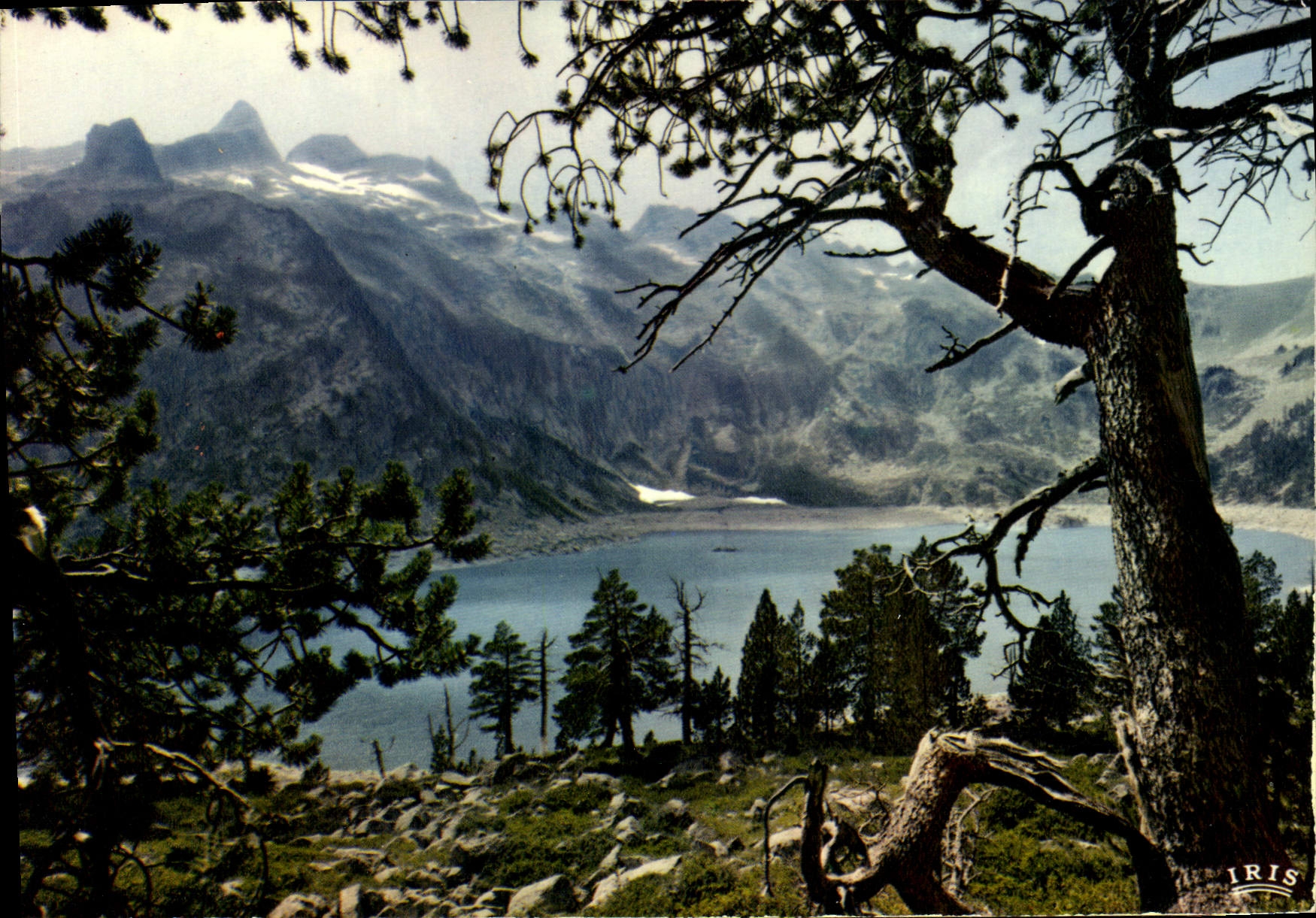 CPM Les Pyrenees Le Lac d'Aubert 