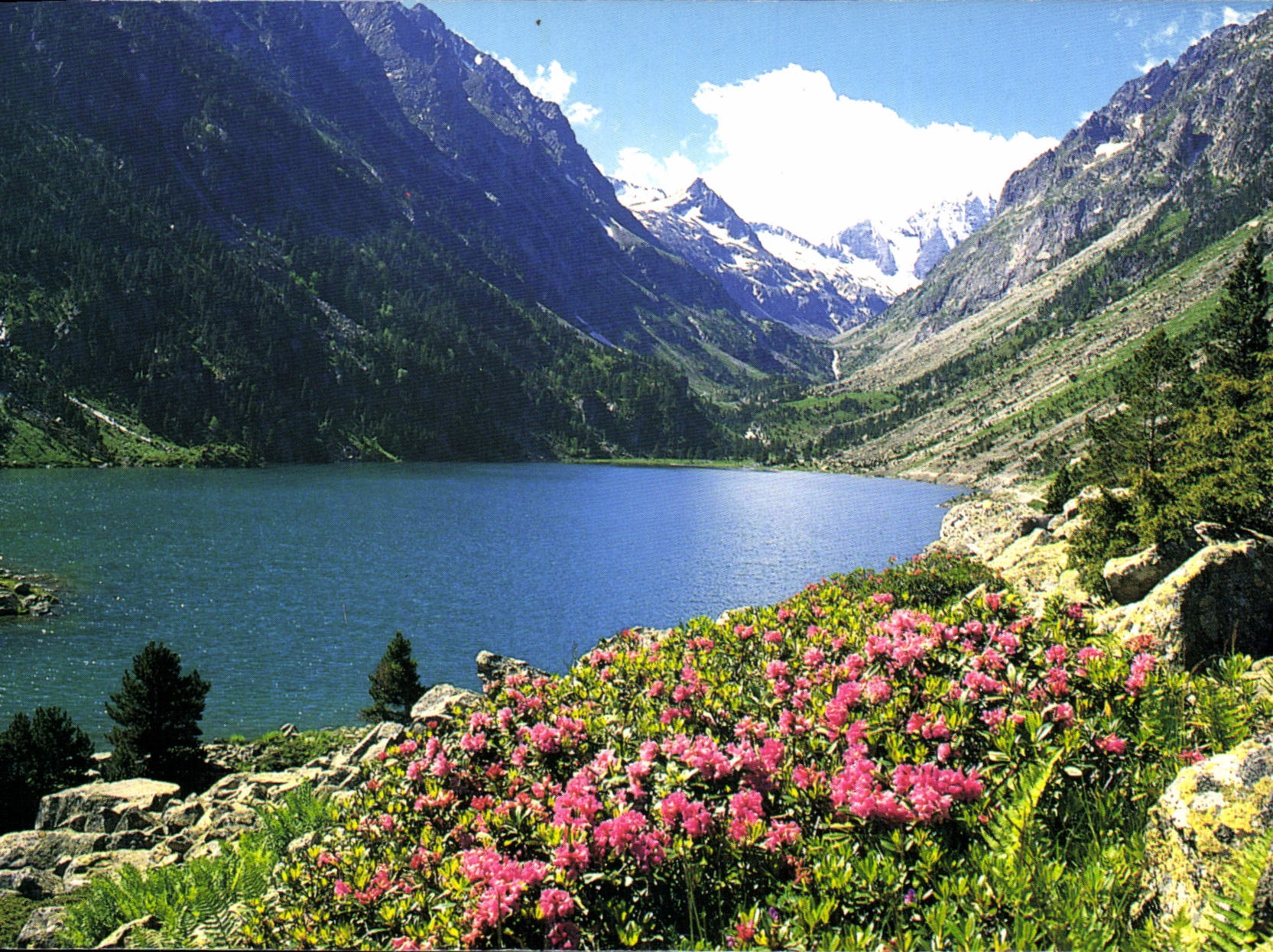 CPM En Parcourant les Pyrenees Lac de Gaube