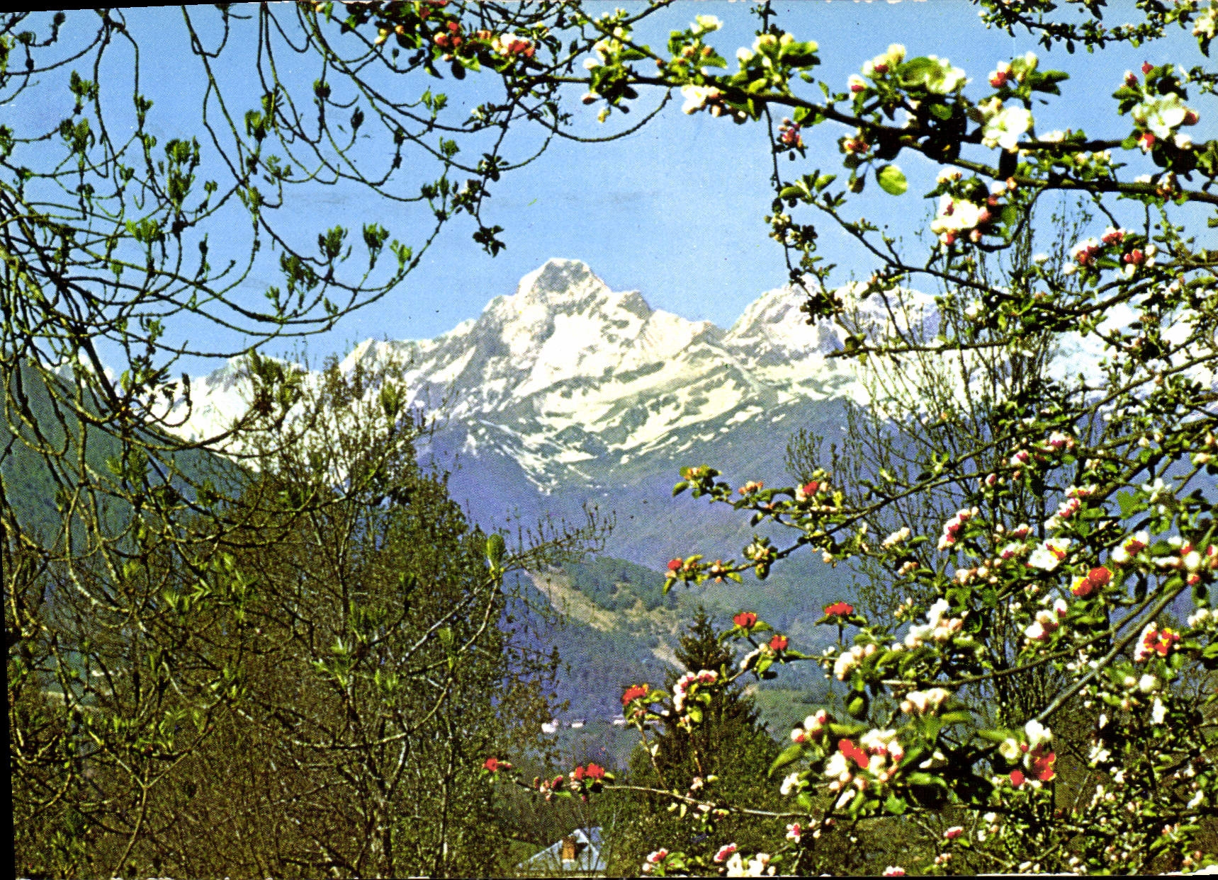 CPM Sites Pyrenees Le Massif du Montvalier 