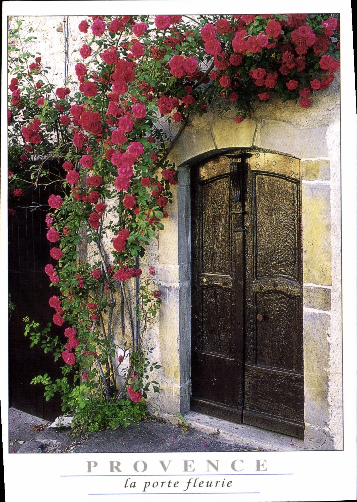 CPM Provence la Porte Fleurie
