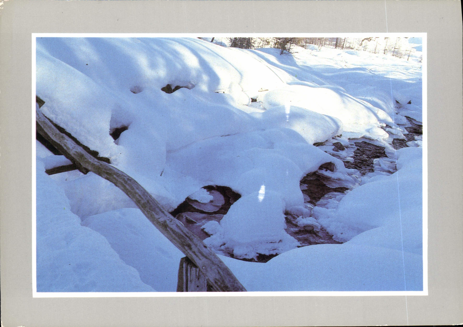 CPM Les joies de la neige 