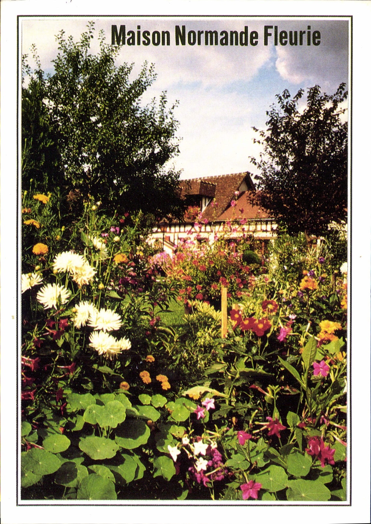 CPM Maison Normande Fleurie 