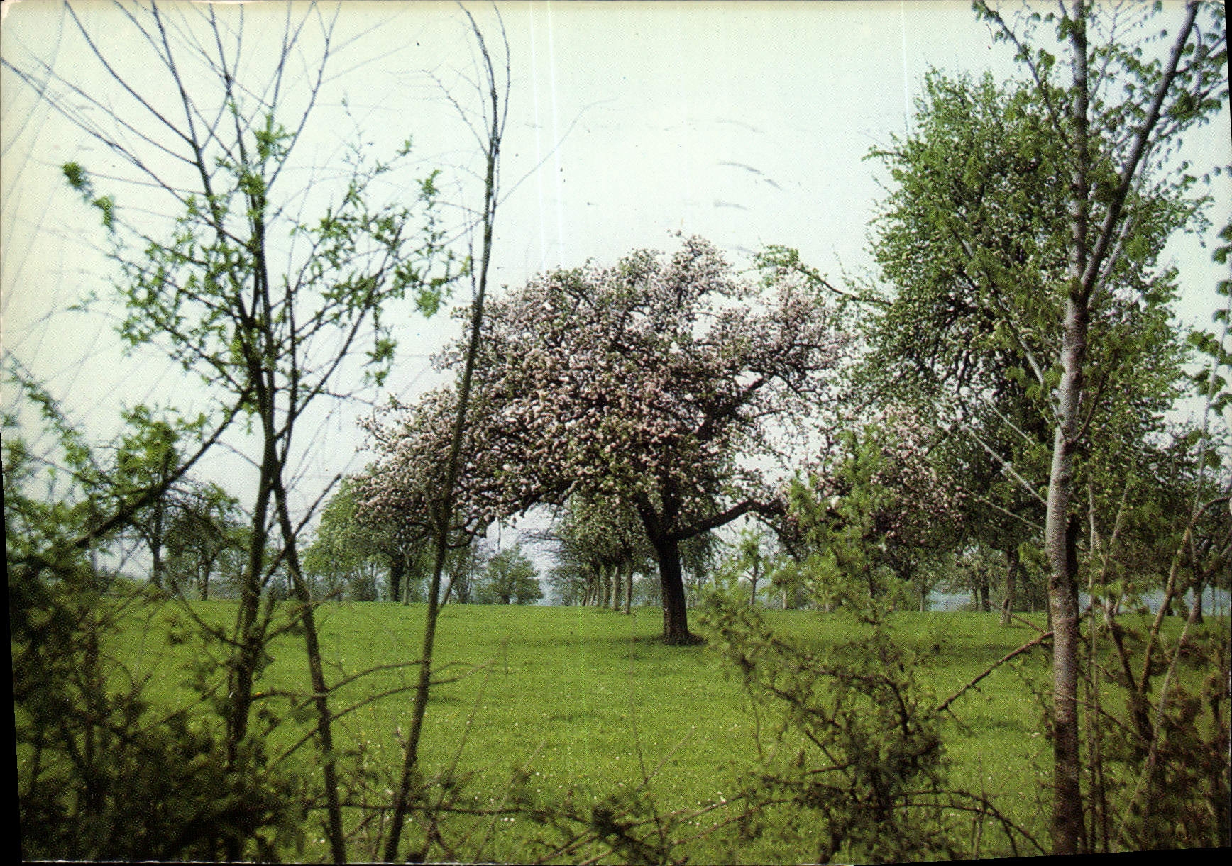 CPM Notre Belle Normandie 