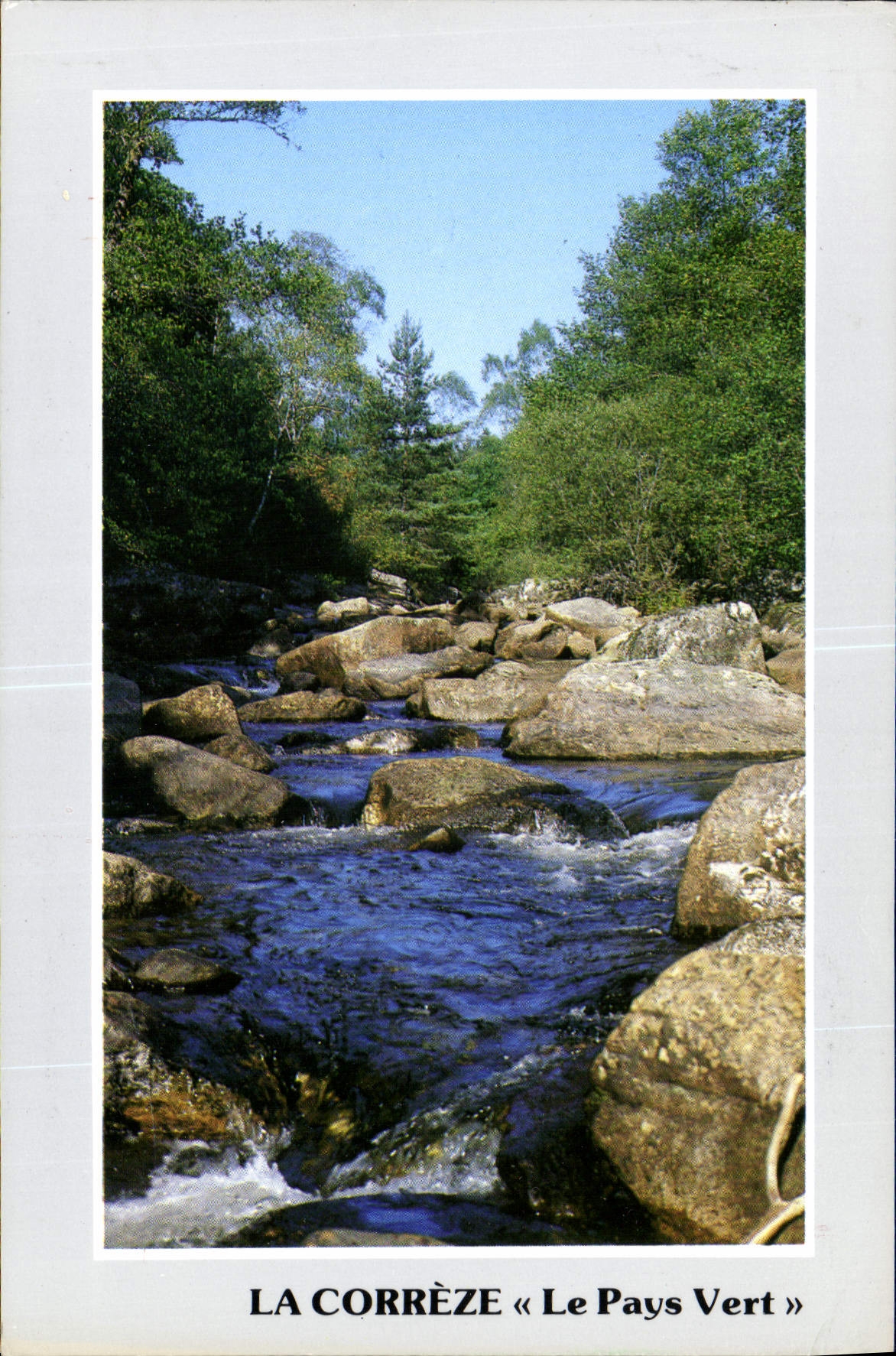CPM La Correze Le Pays Vert 