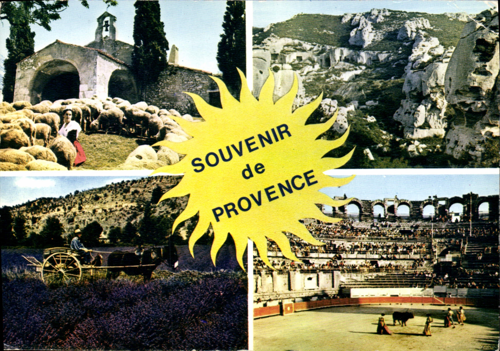 CPM Souvenir de Provence Taureau Corrida