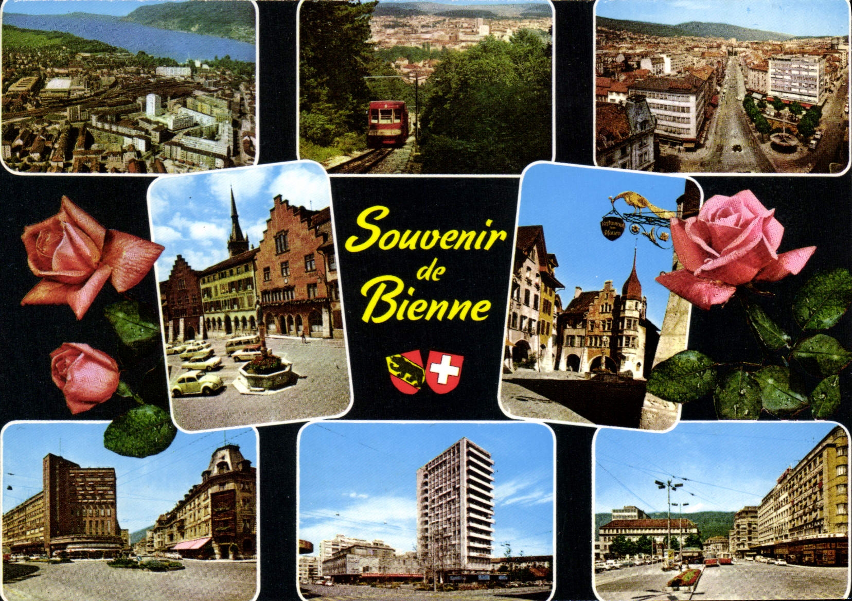 CPM Souvenir de Bienne 