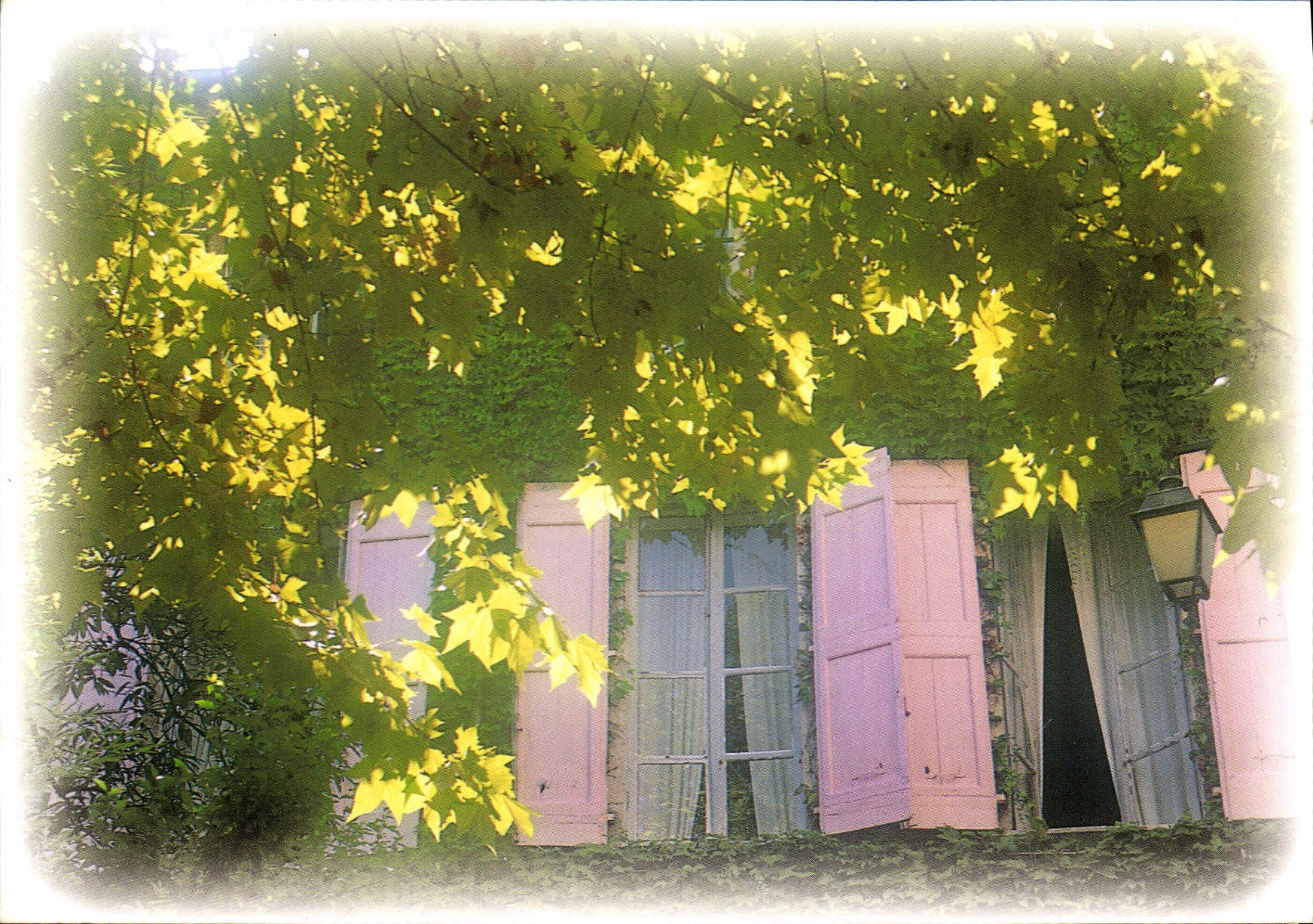 CPM Images du Sud 