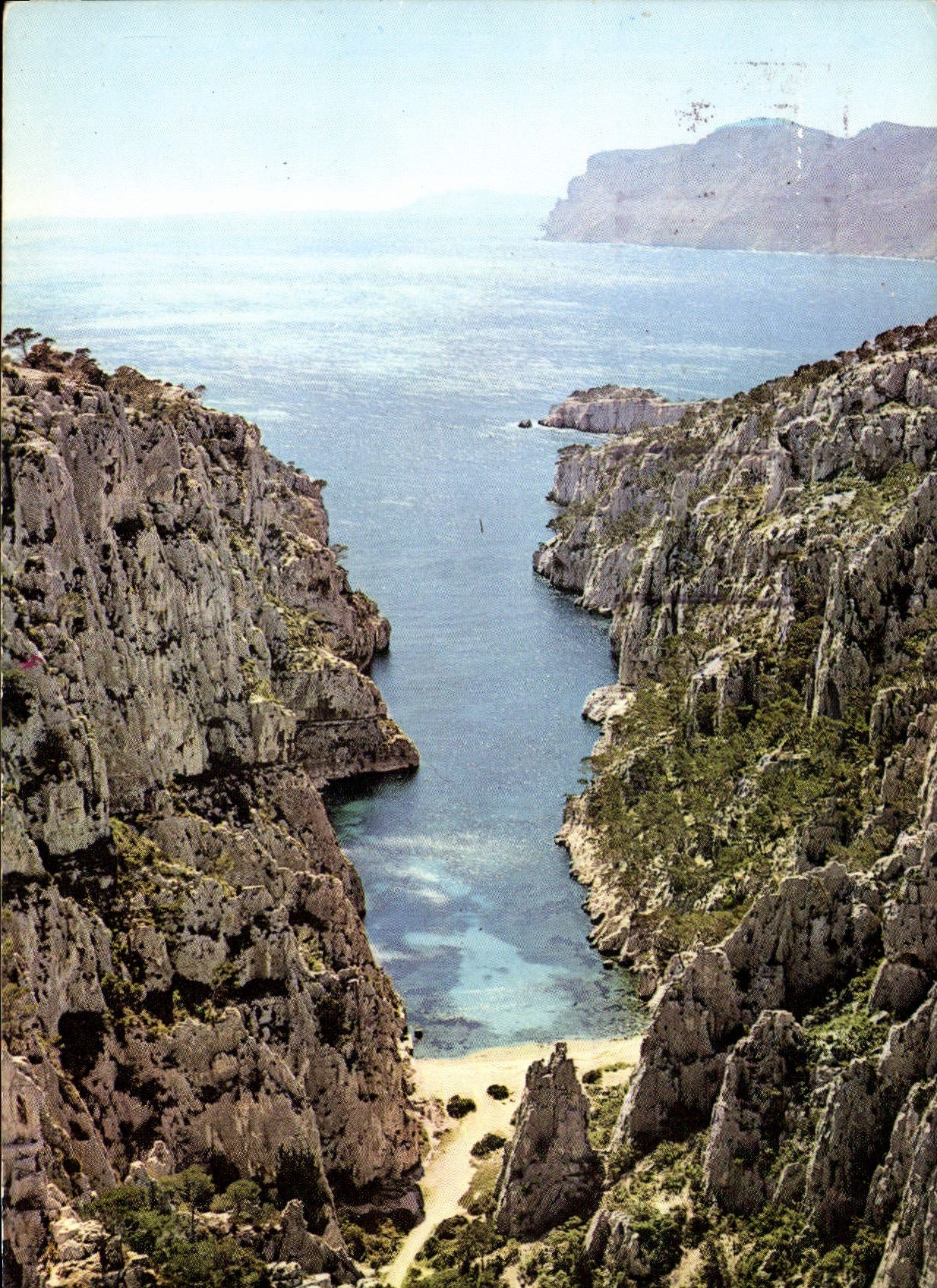 CPM Une Rose a la Boutanniere de la Provence Cassis sur Mer Calanque d'En Vau