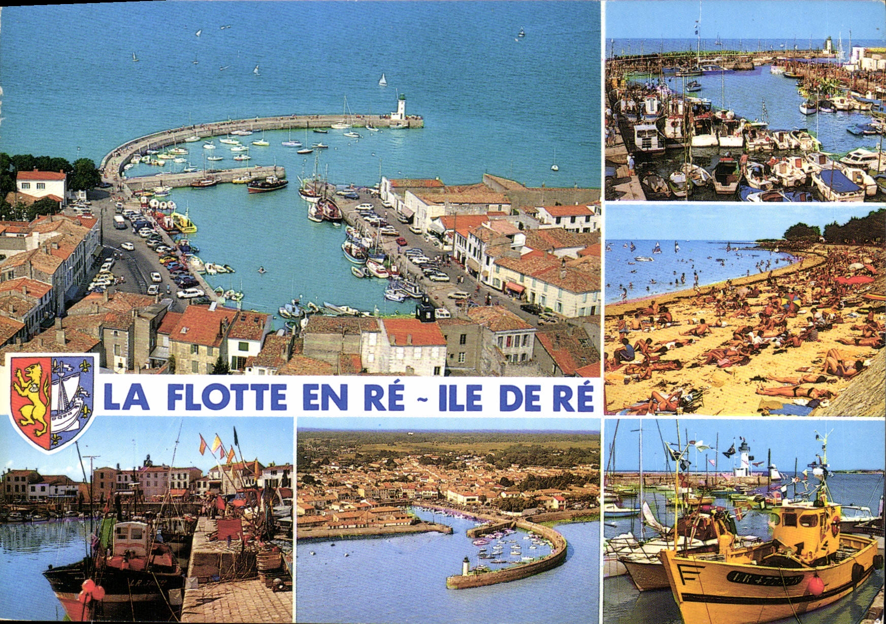 CPM La Flotte en Re Ile De Re 