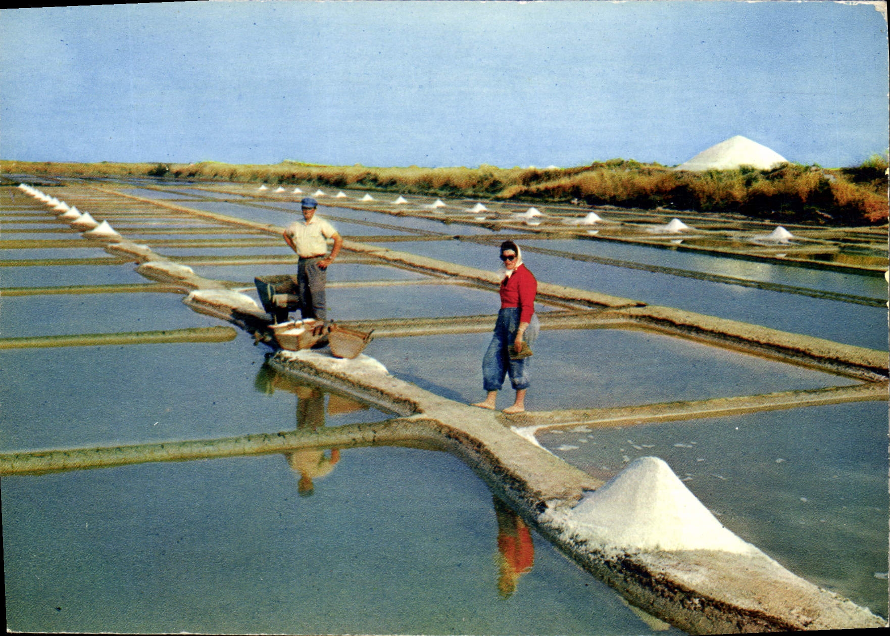 CPM Ile De Re Sauniers dans les marais Salants 