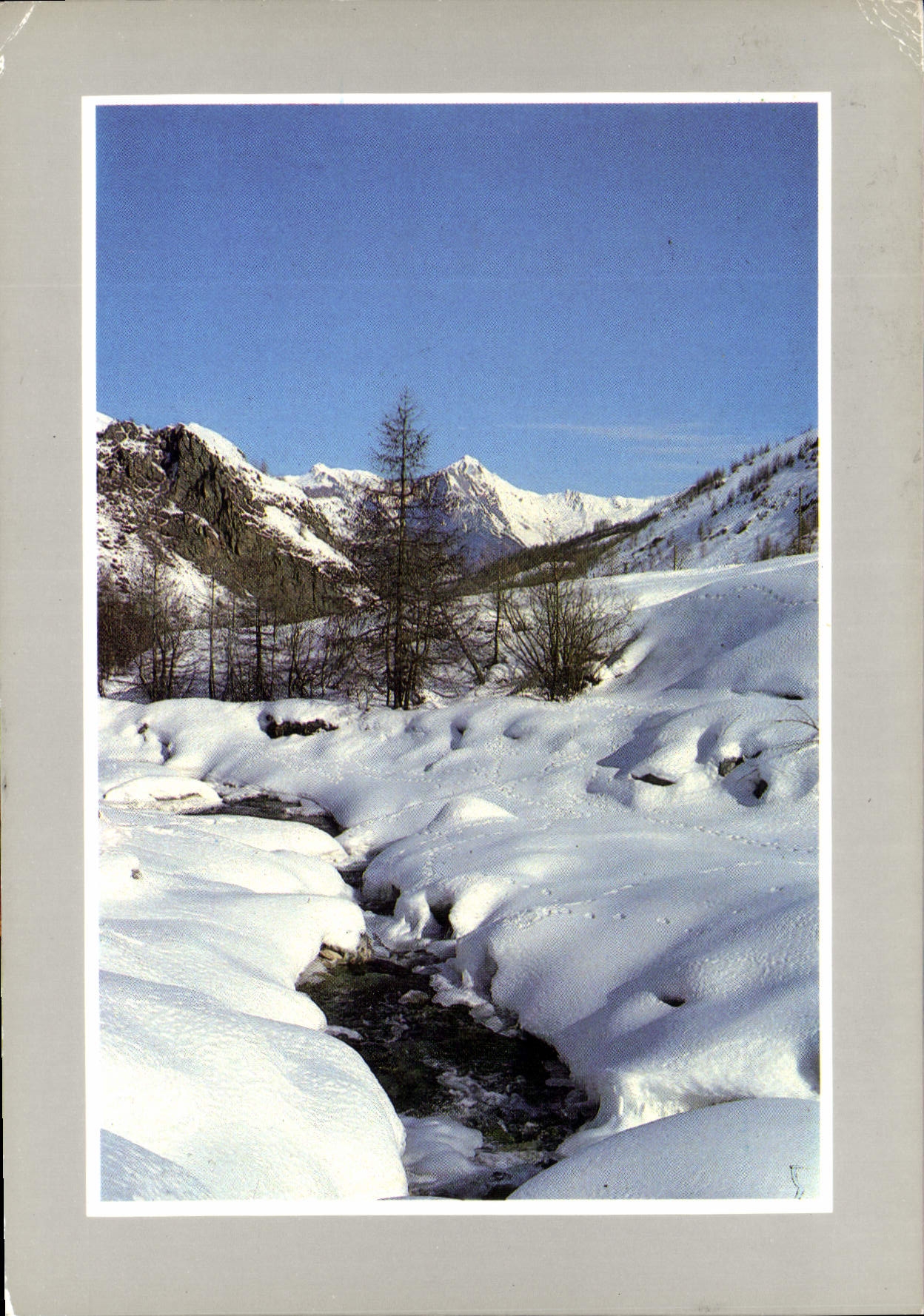 CPM Les Joies de la neige 