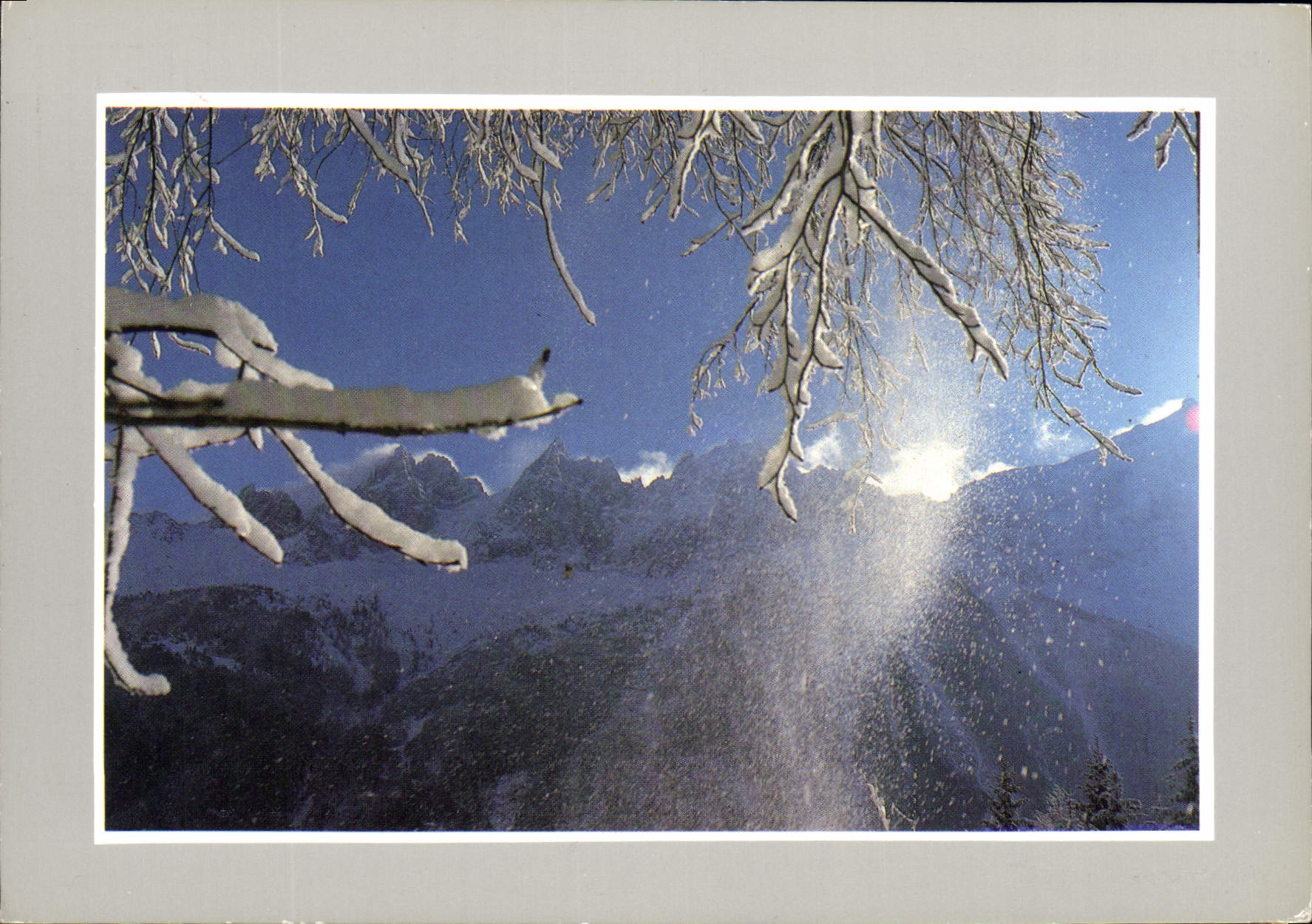 CPM Les Joies de la neige 