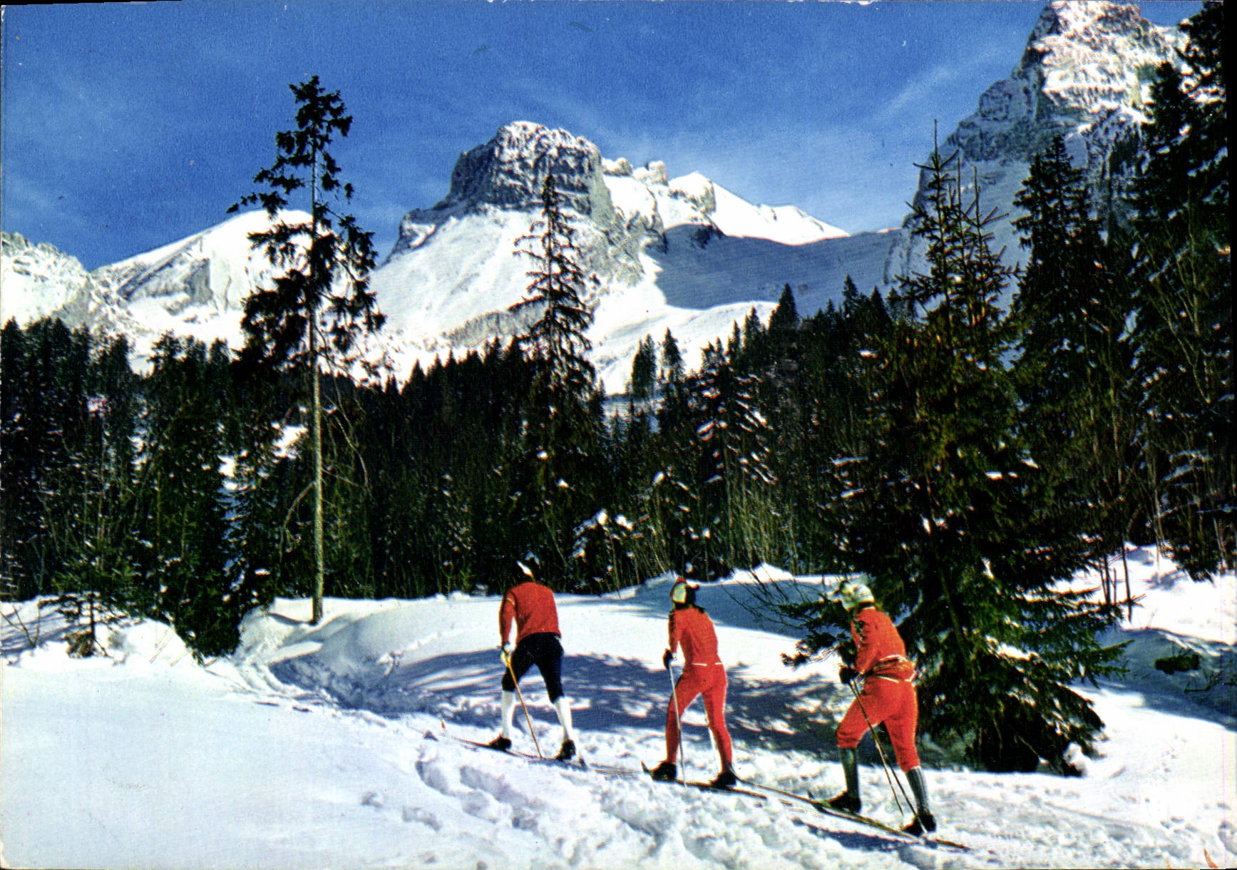 CPM Le Ski de fond Joie des Longues Randonnees dans la Neige
