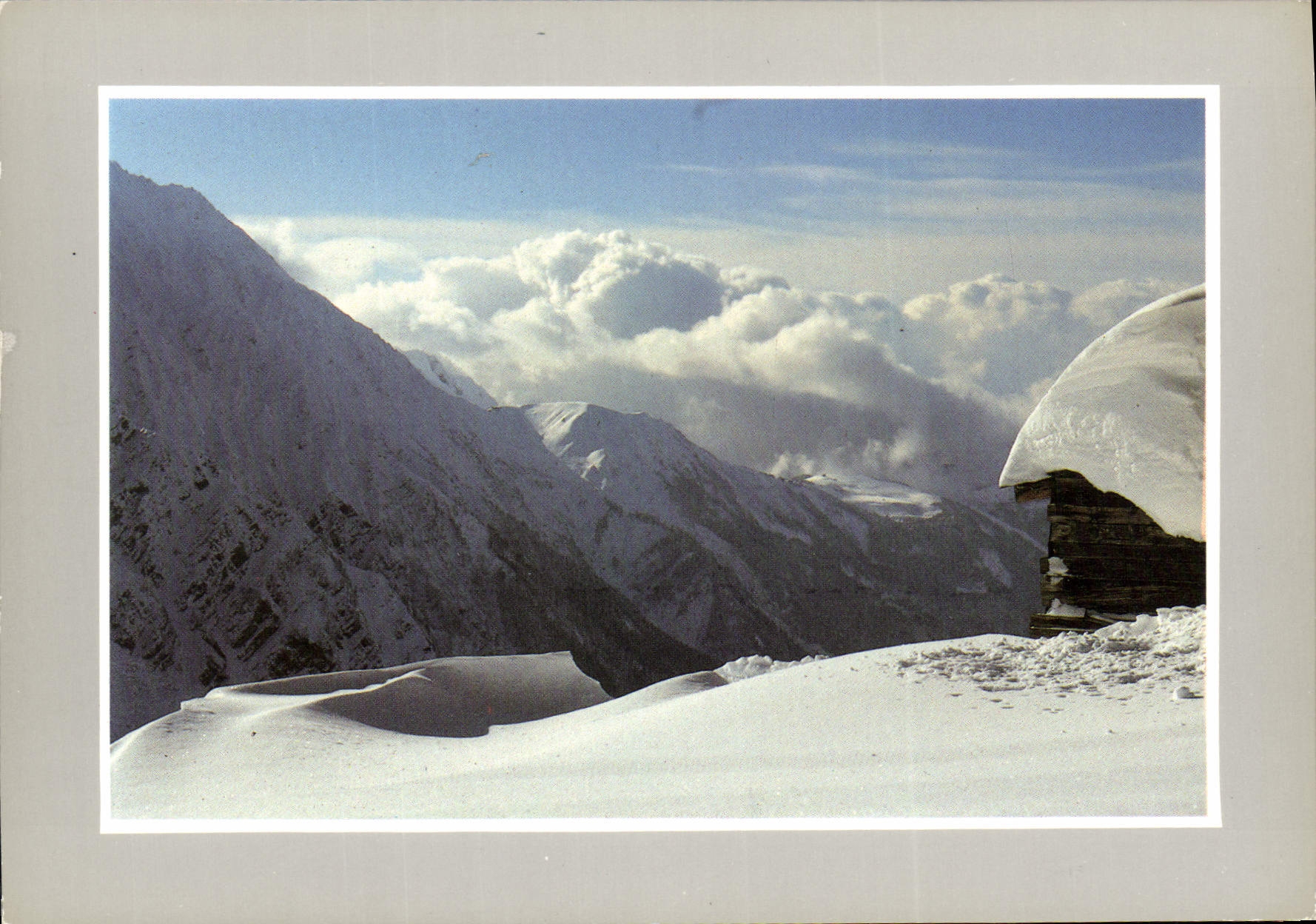 CPM Les joies de la neige 