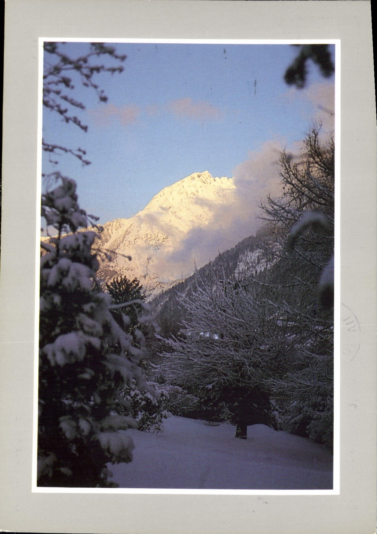 CPM Les Joies de la Neige 