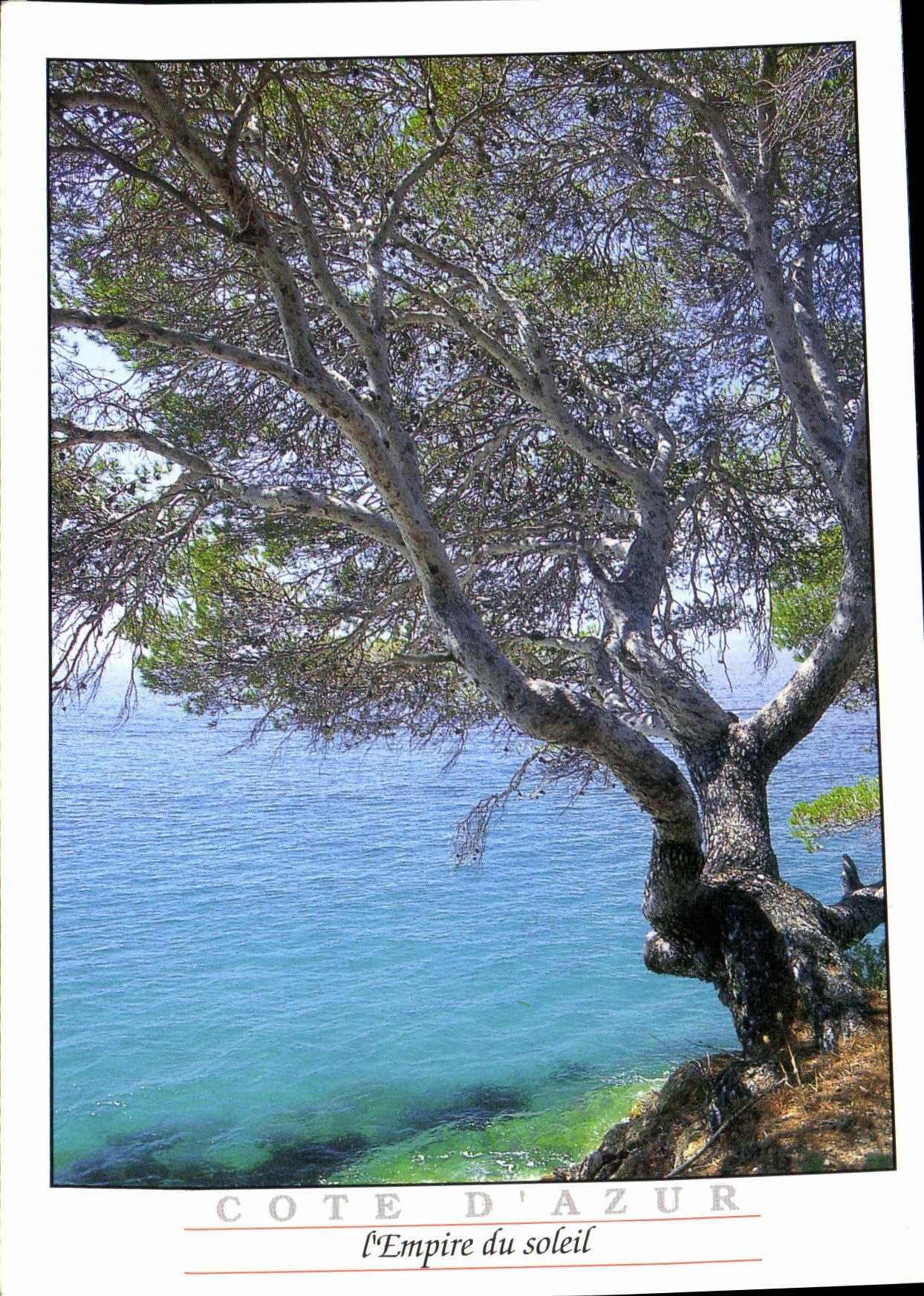 CPM Cote d'Azur l'Empire du soleil