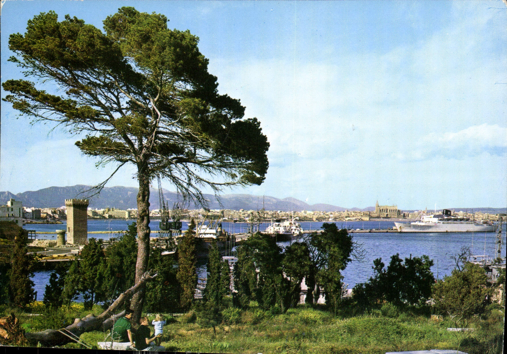 CPM Mallorca Palma Vista general 