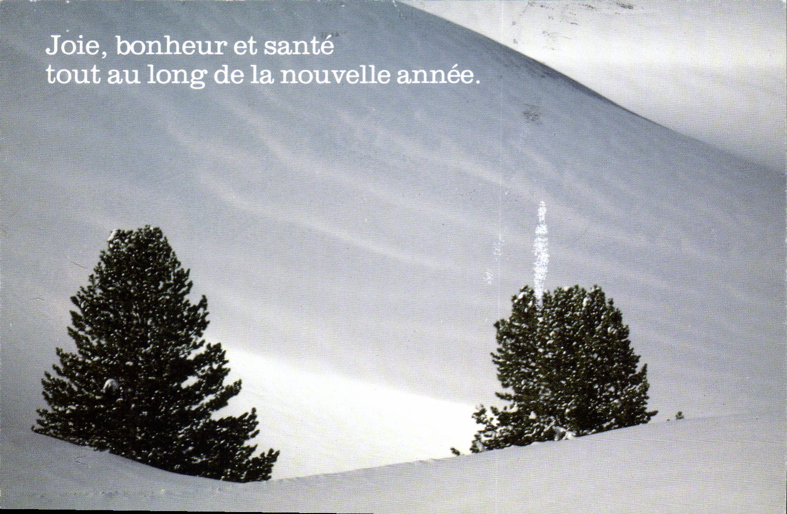 CPM Joie bonheur et sante tout au long de la nouvelle annee