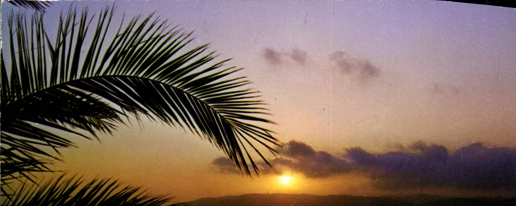 CPM Visage des Landes Soleil Couchant