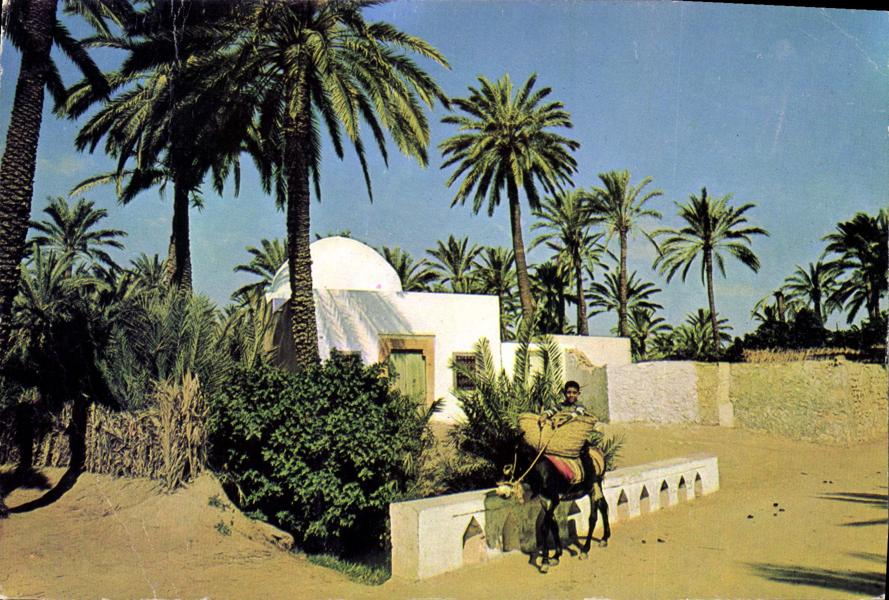CPM Gabes Oasis Die Oase 