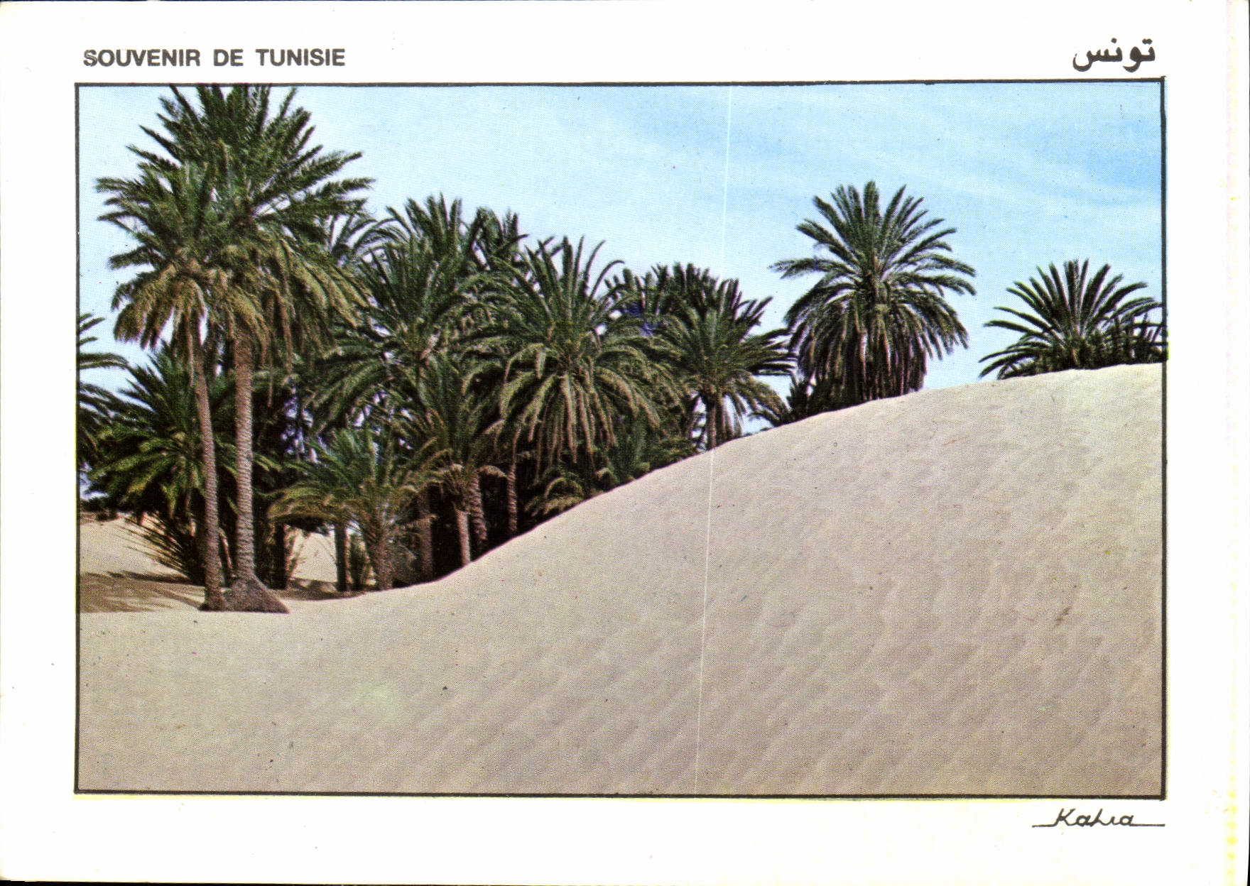CPM Souvenir de Tunisie 
