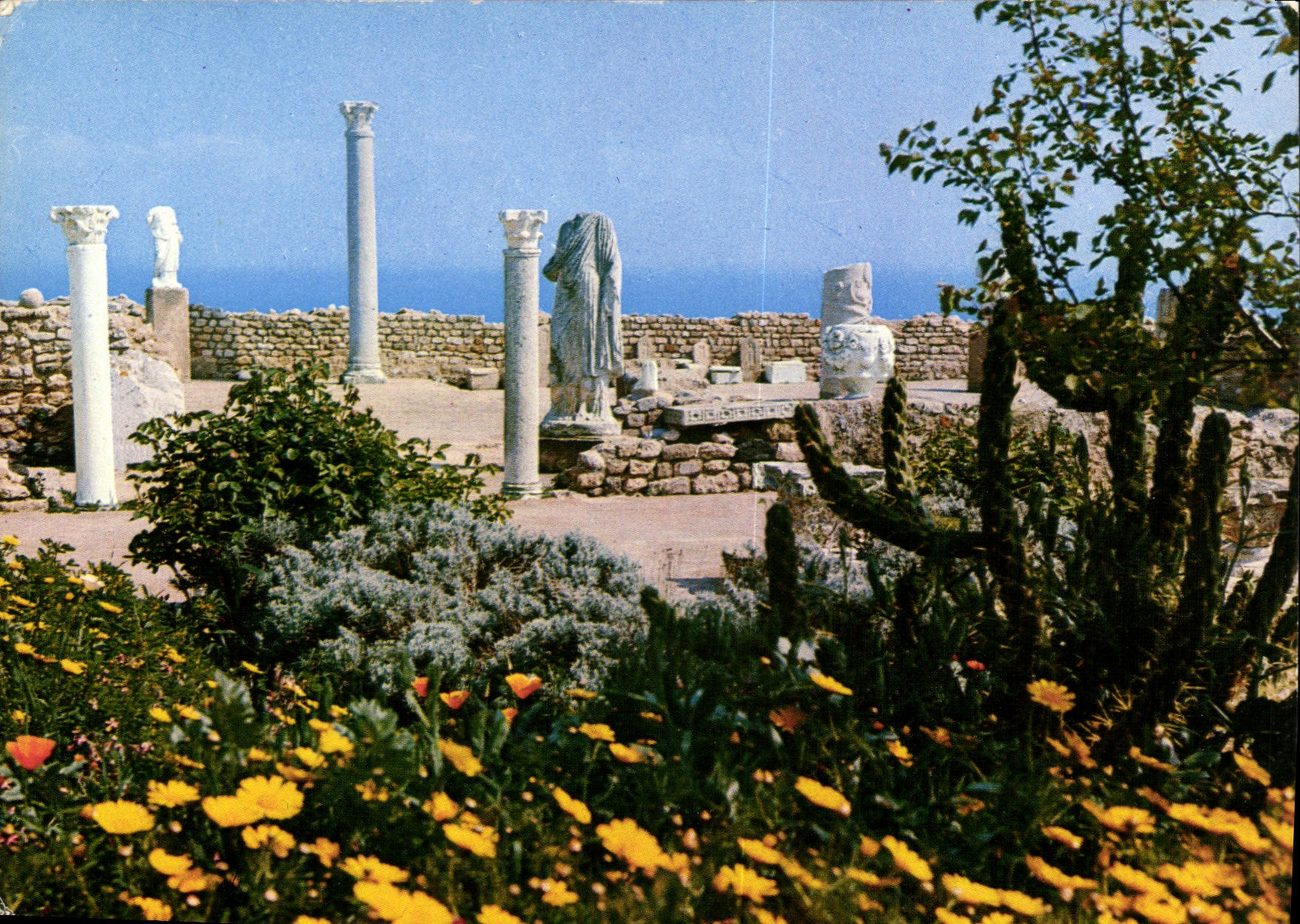 CPM Carthage Tunisie l'Antiquarium 