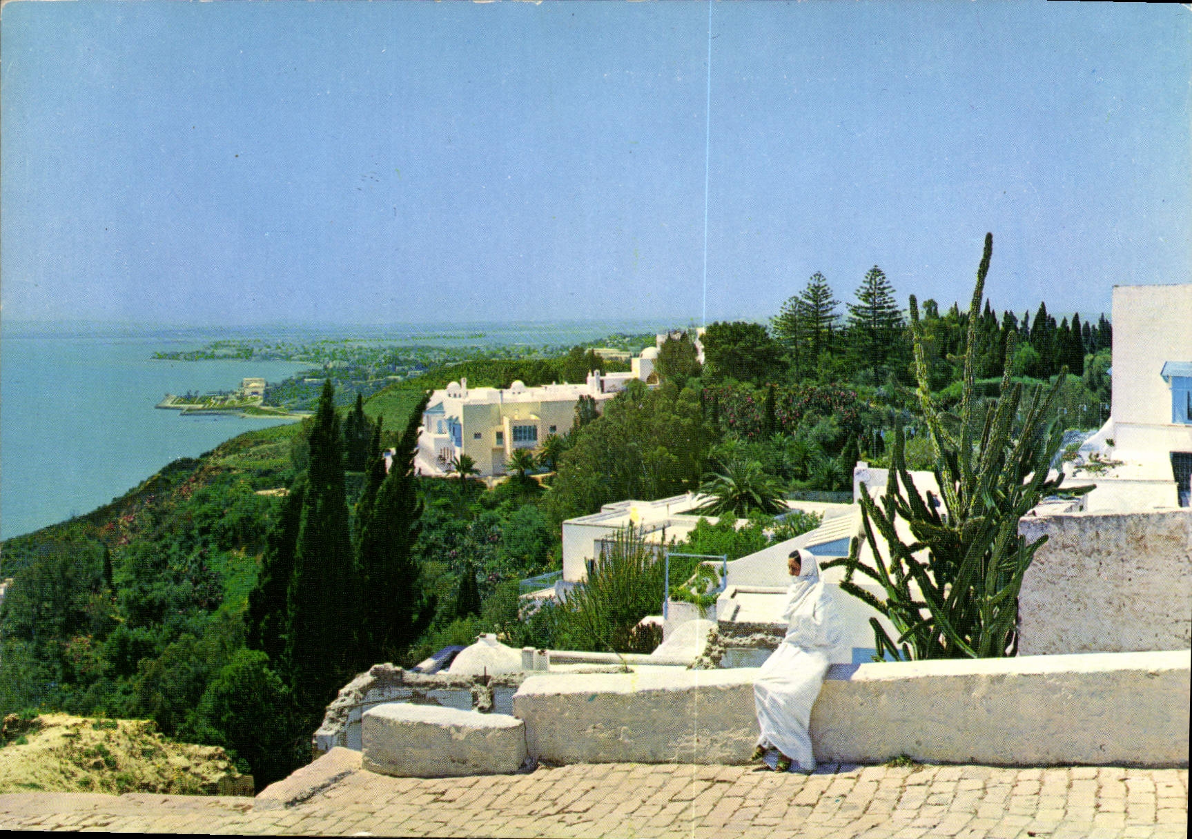 CPM Sidi Bou Said Tunisie La Colline et ses jardins 