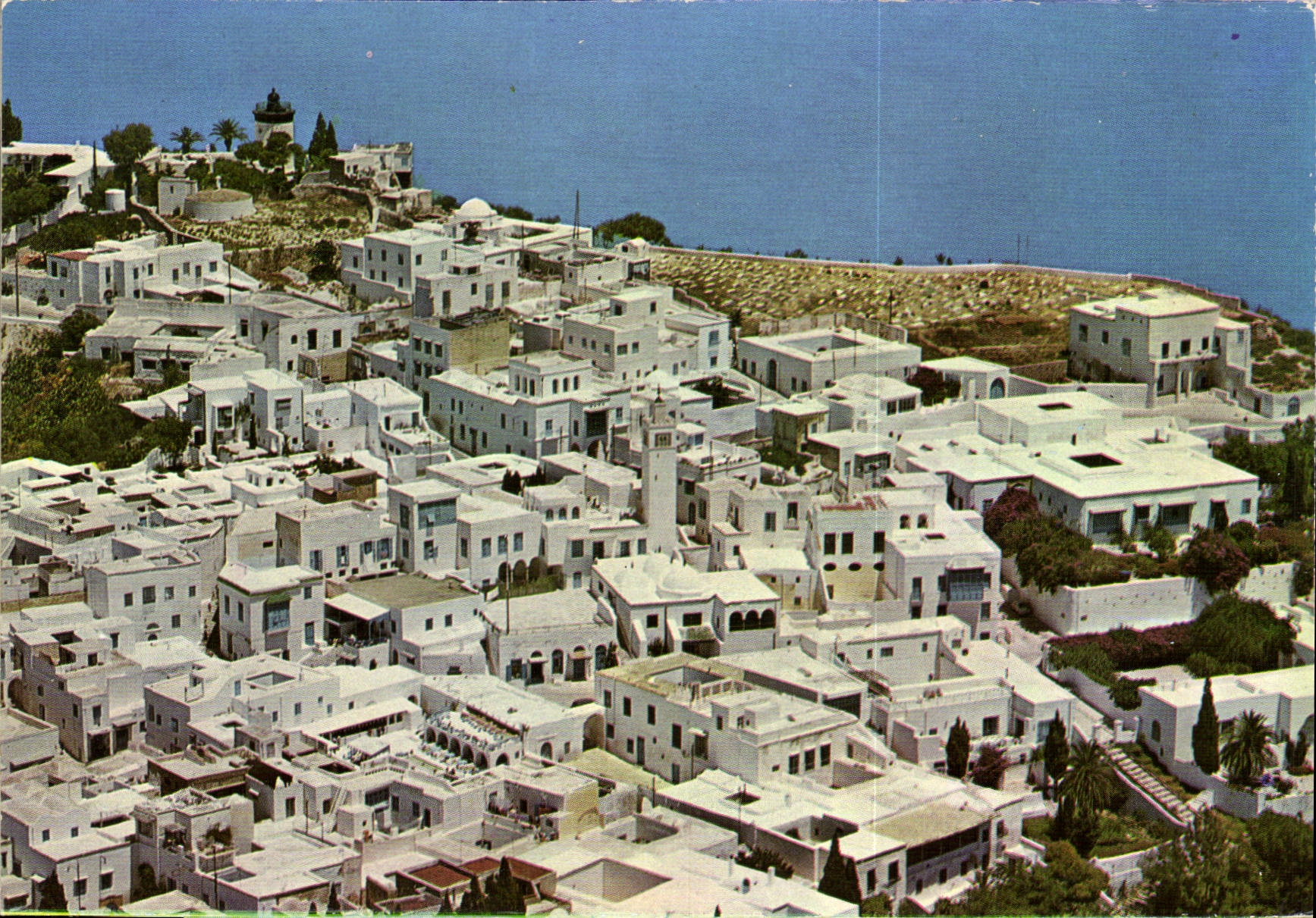 CPM Tunisie Le Village typique de Sidi Bou Said Kahia rue de Marseille Tunis 