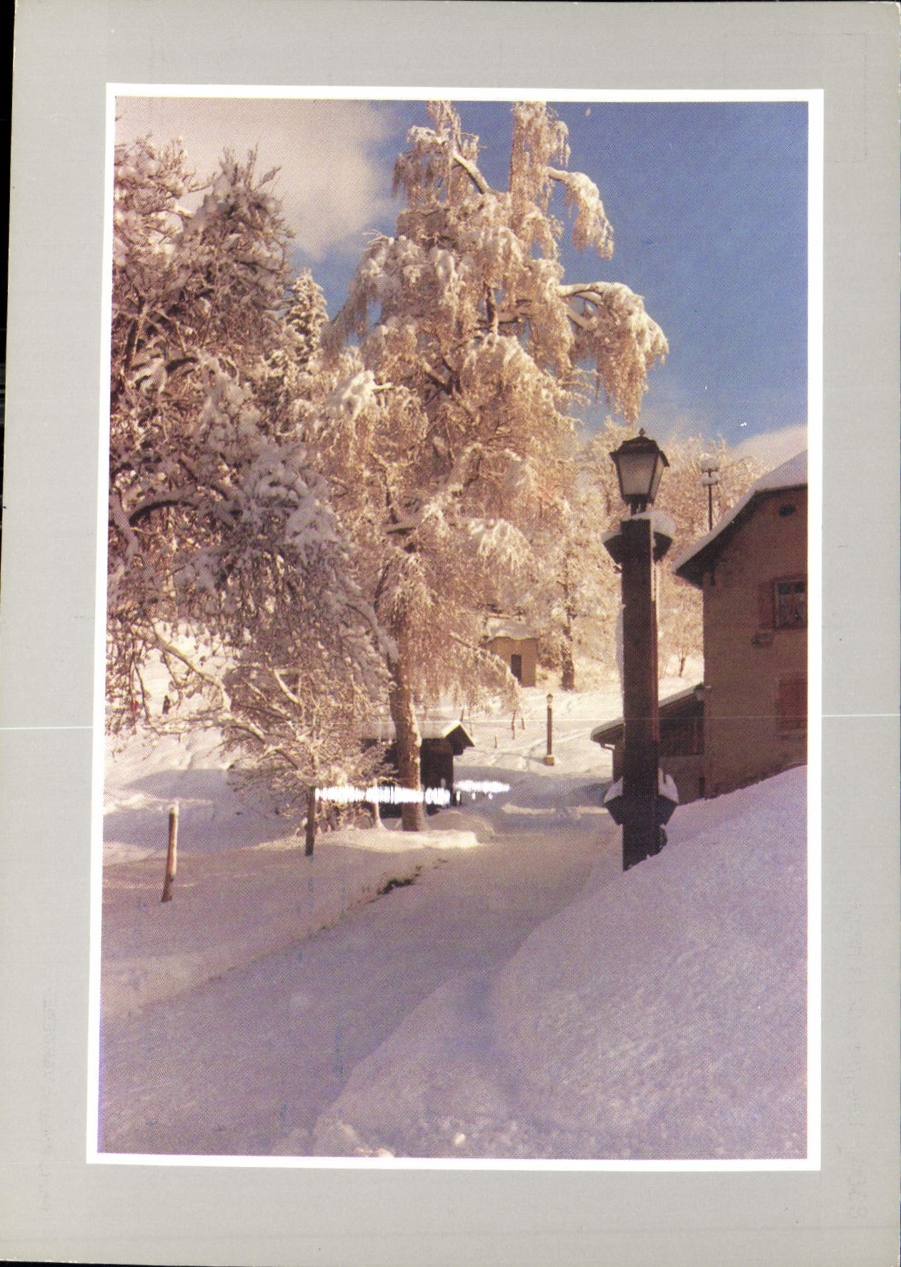 CPM Les joies de la neige 