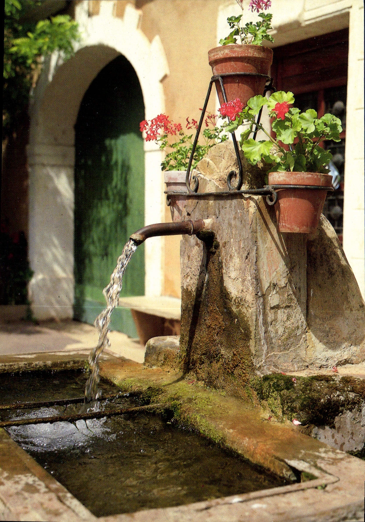 CPM Village meridional Vieille fontaine fleurie