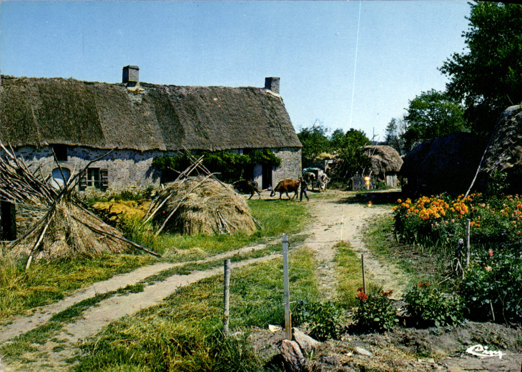 CPM Chaumiere 
