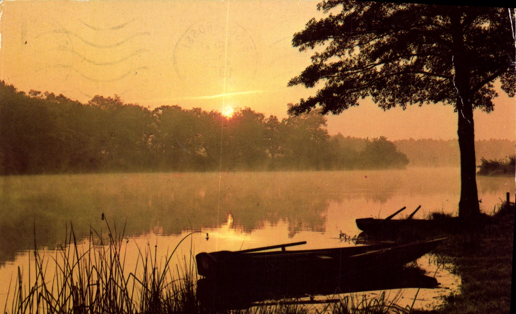 CPM Visage des Landes Matin d'Automme sur l'Etang d'Uza