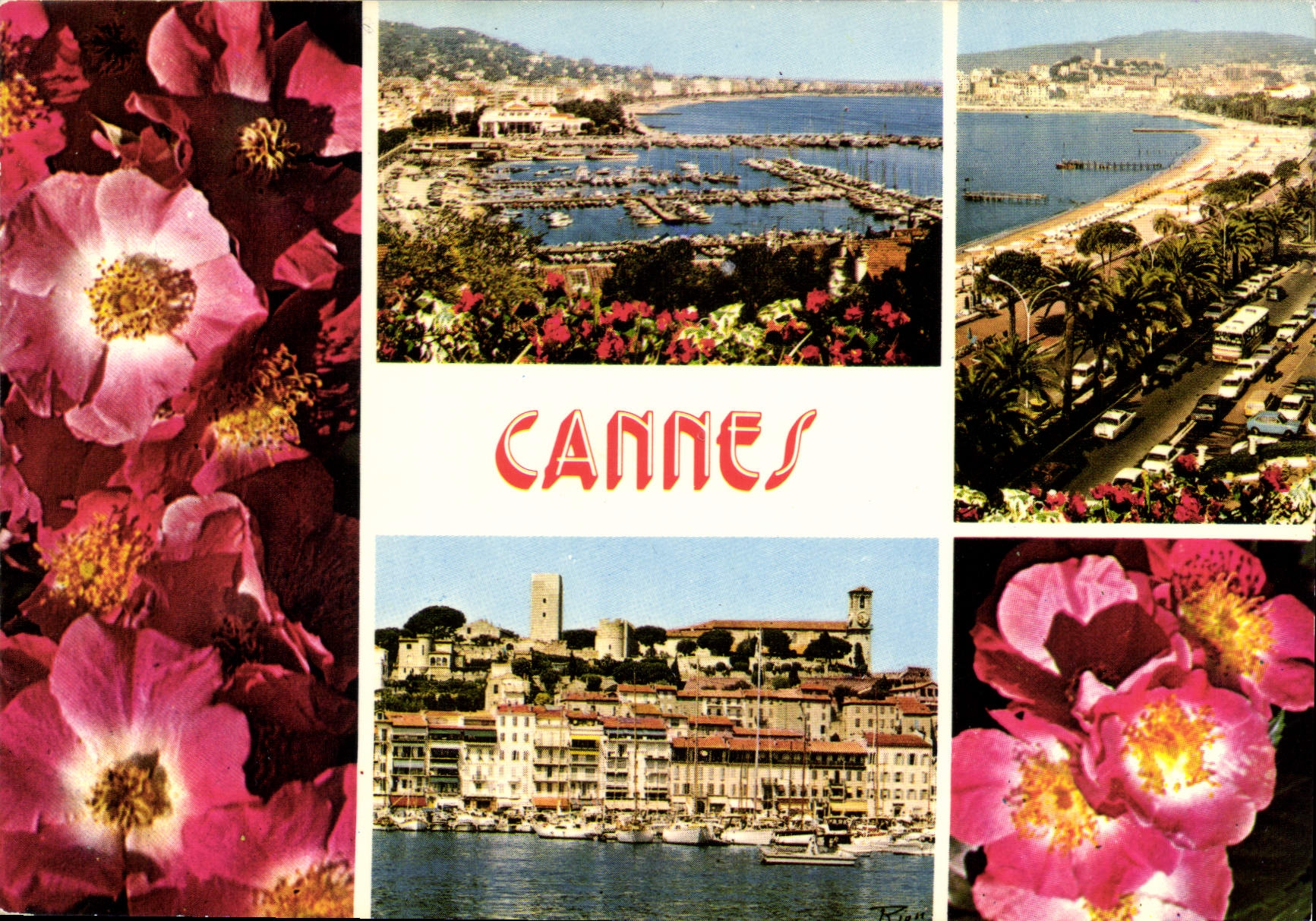 CPM La Cote d'Azur Inoubliable Cannes 