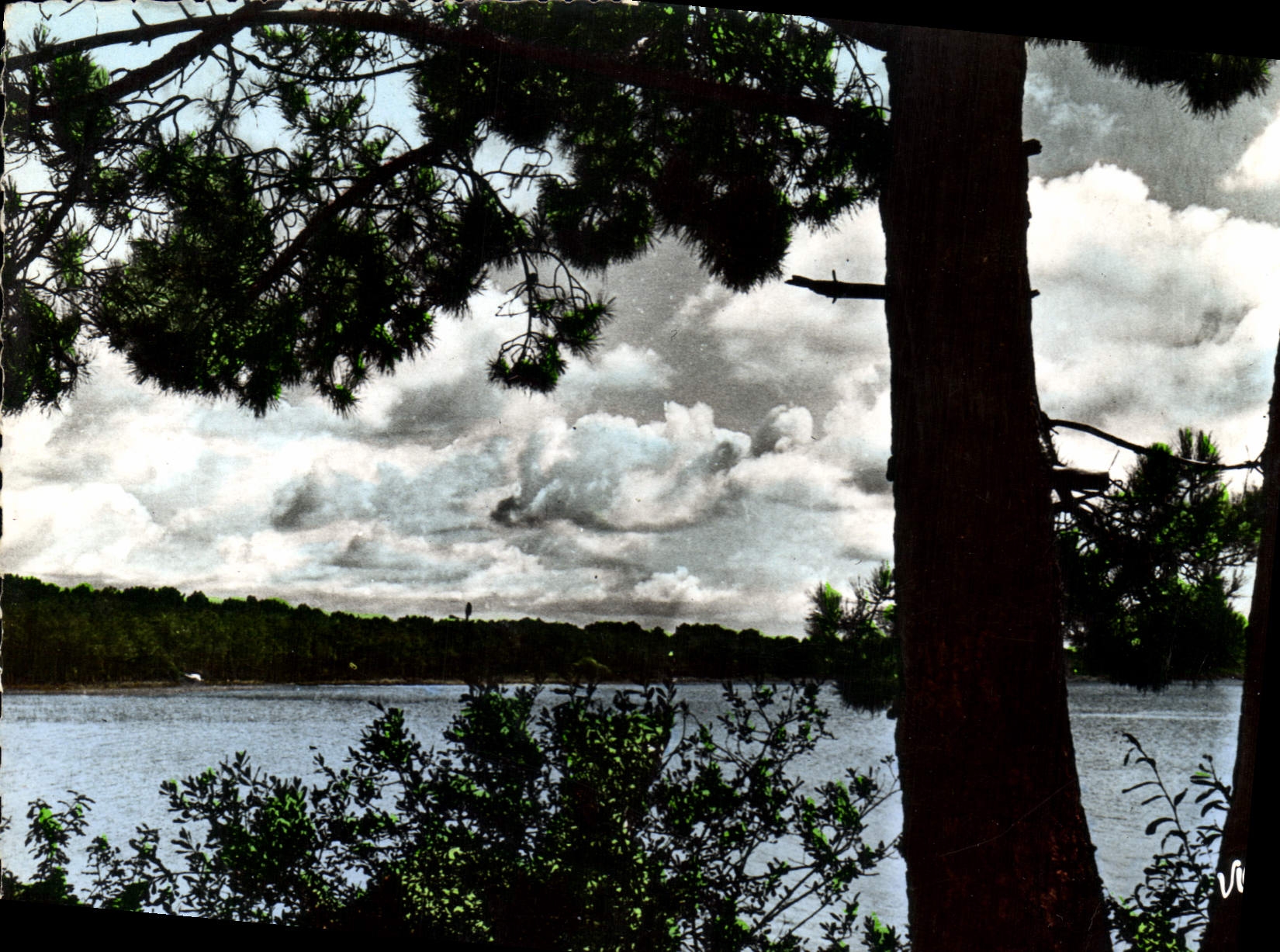 CPM Visage des Landes Avant 