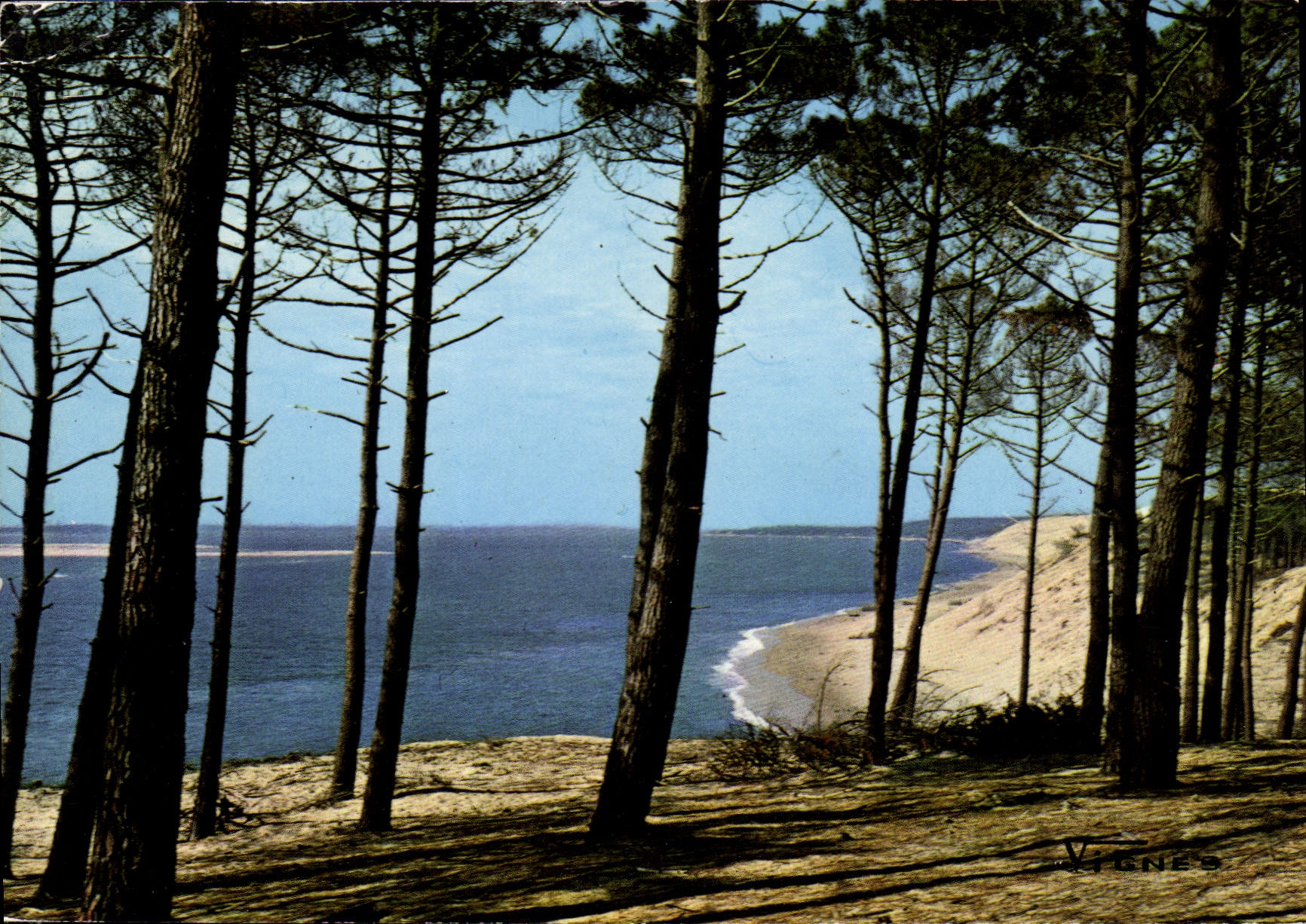 CPM Visage des Landes Bord de Mer 